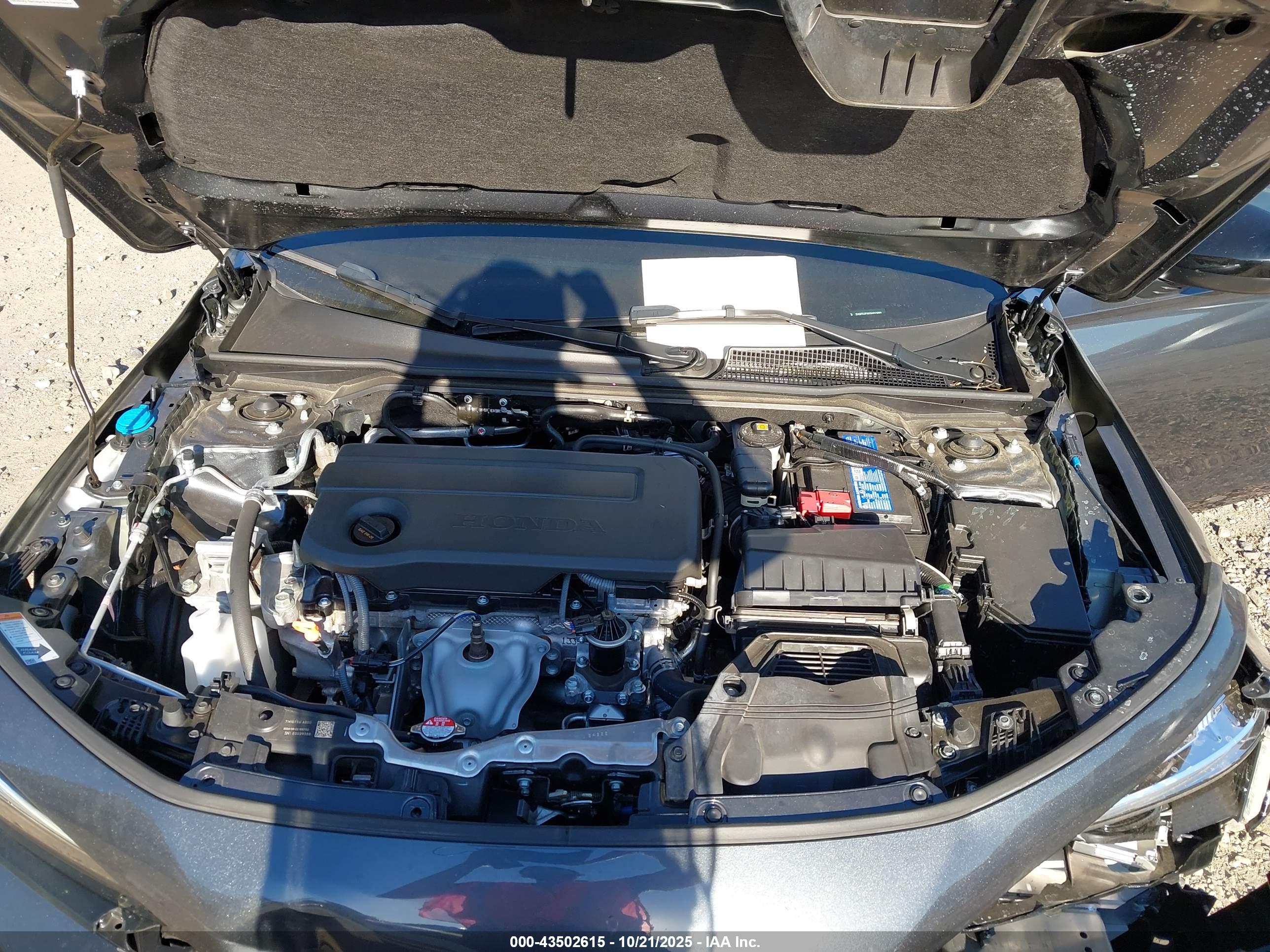HONDA CIVIC image 10