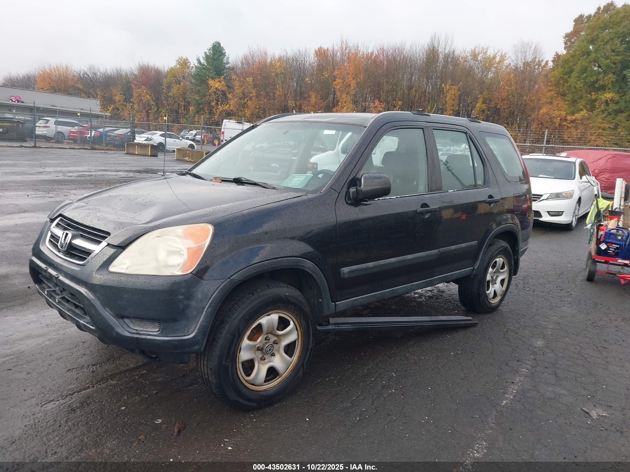 HONDA CR-V image 2