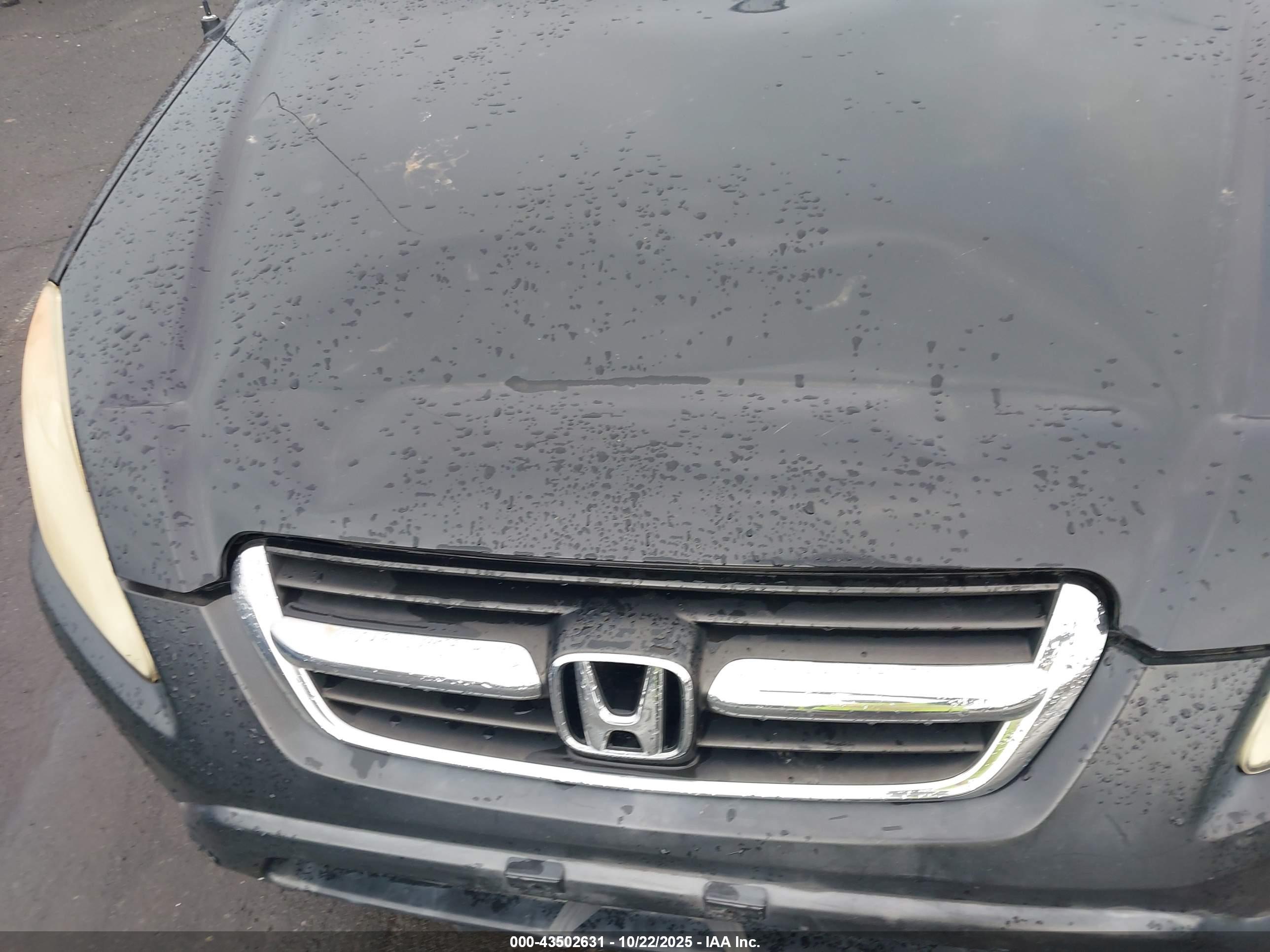 HONDA CR-V image 6
