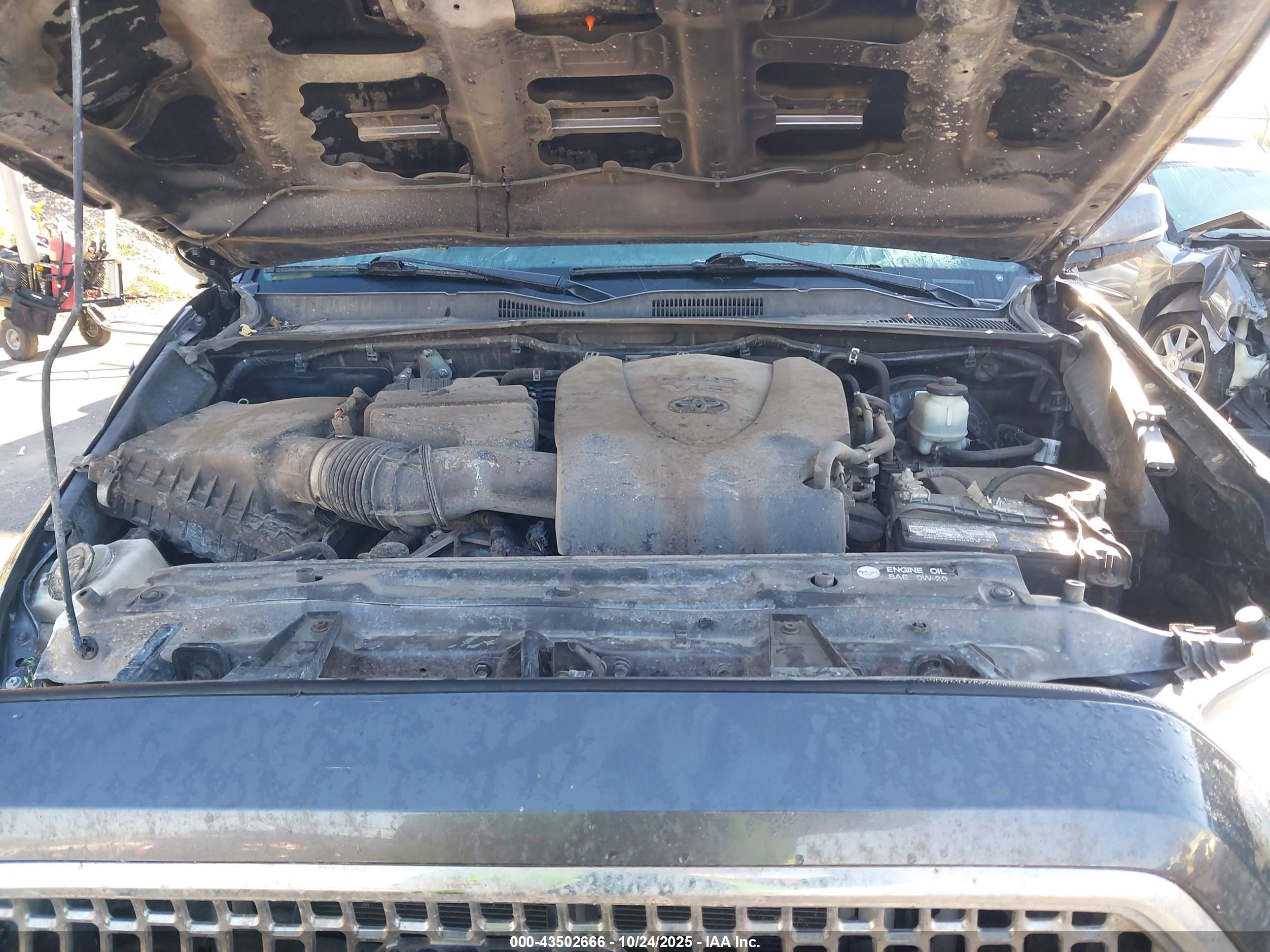 TOYOTA TACOMA image 10