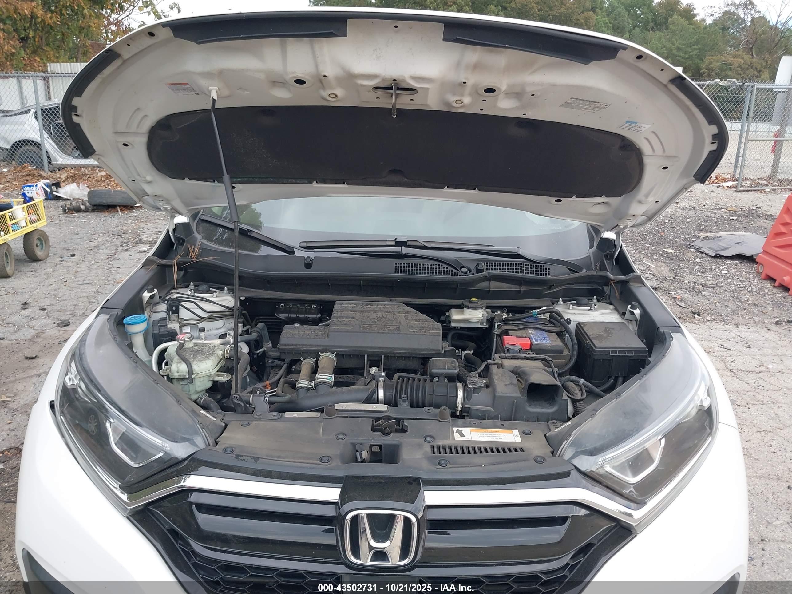 HONDA CR-V image 10