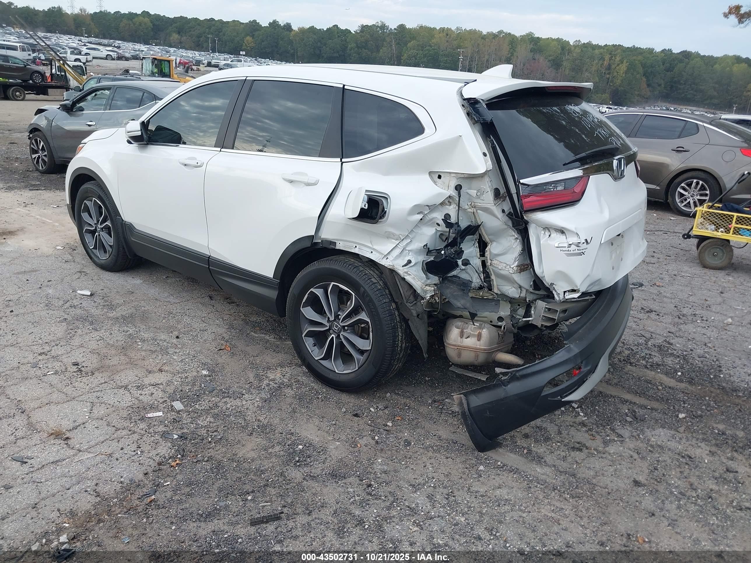 HONDA CR-V image 3