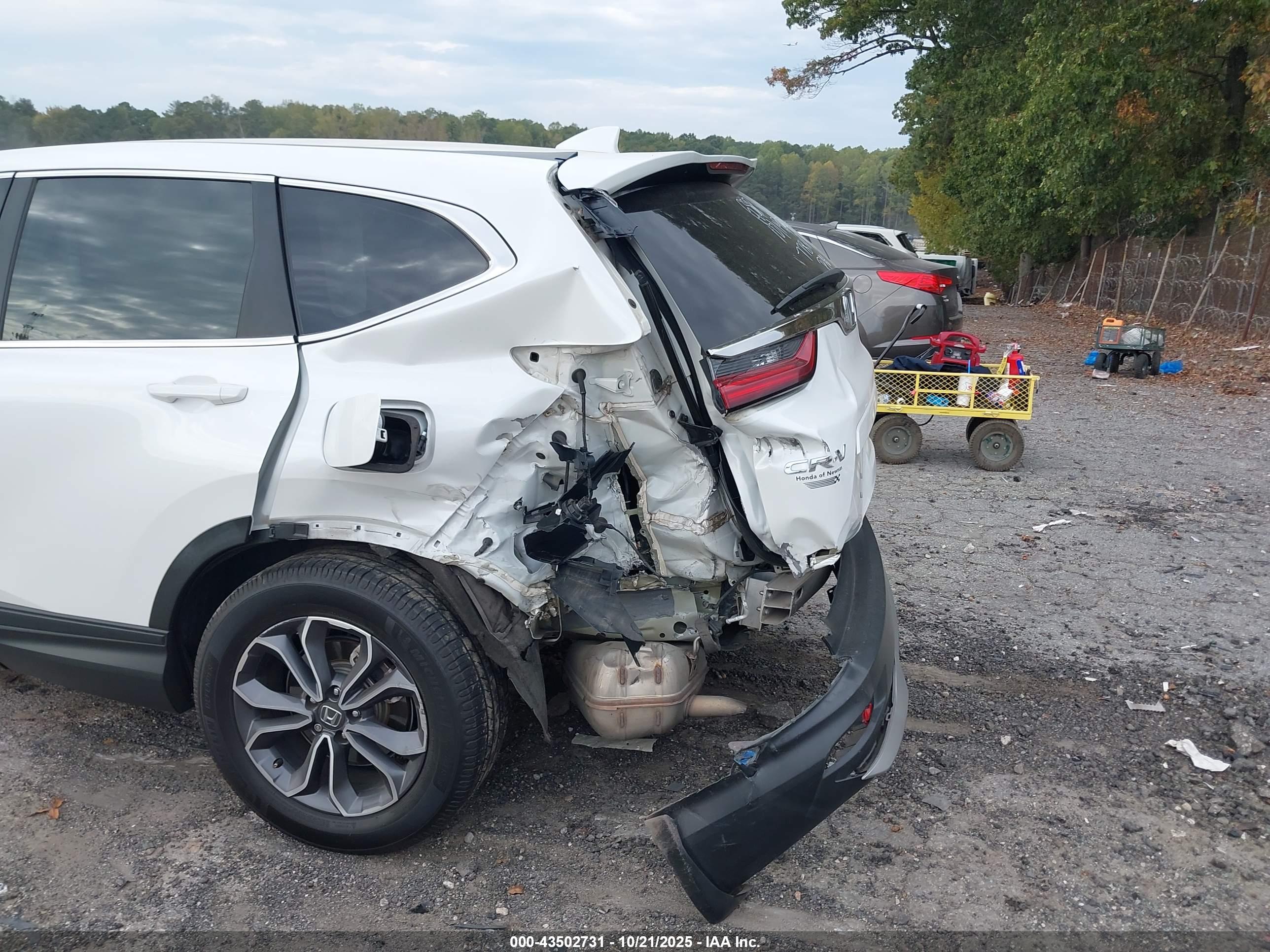 HONDA CR-V image 6