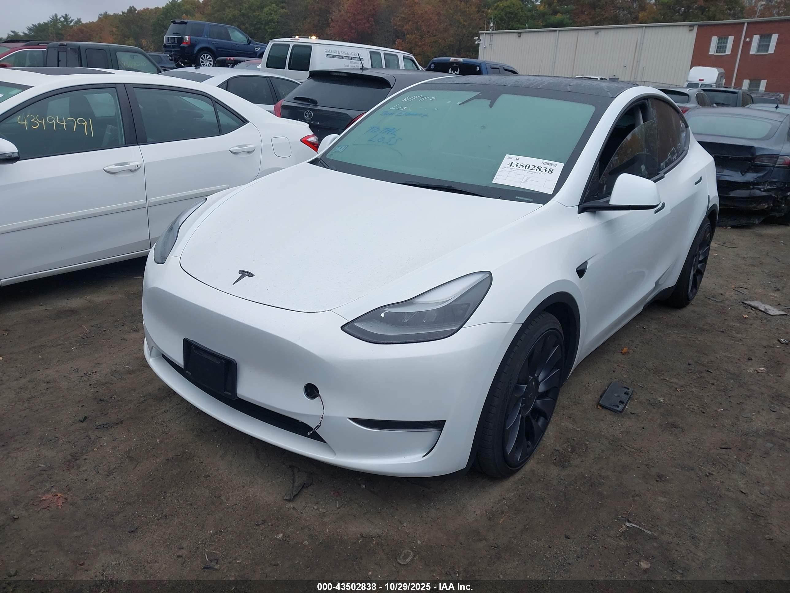 TESLA MODEL image 2