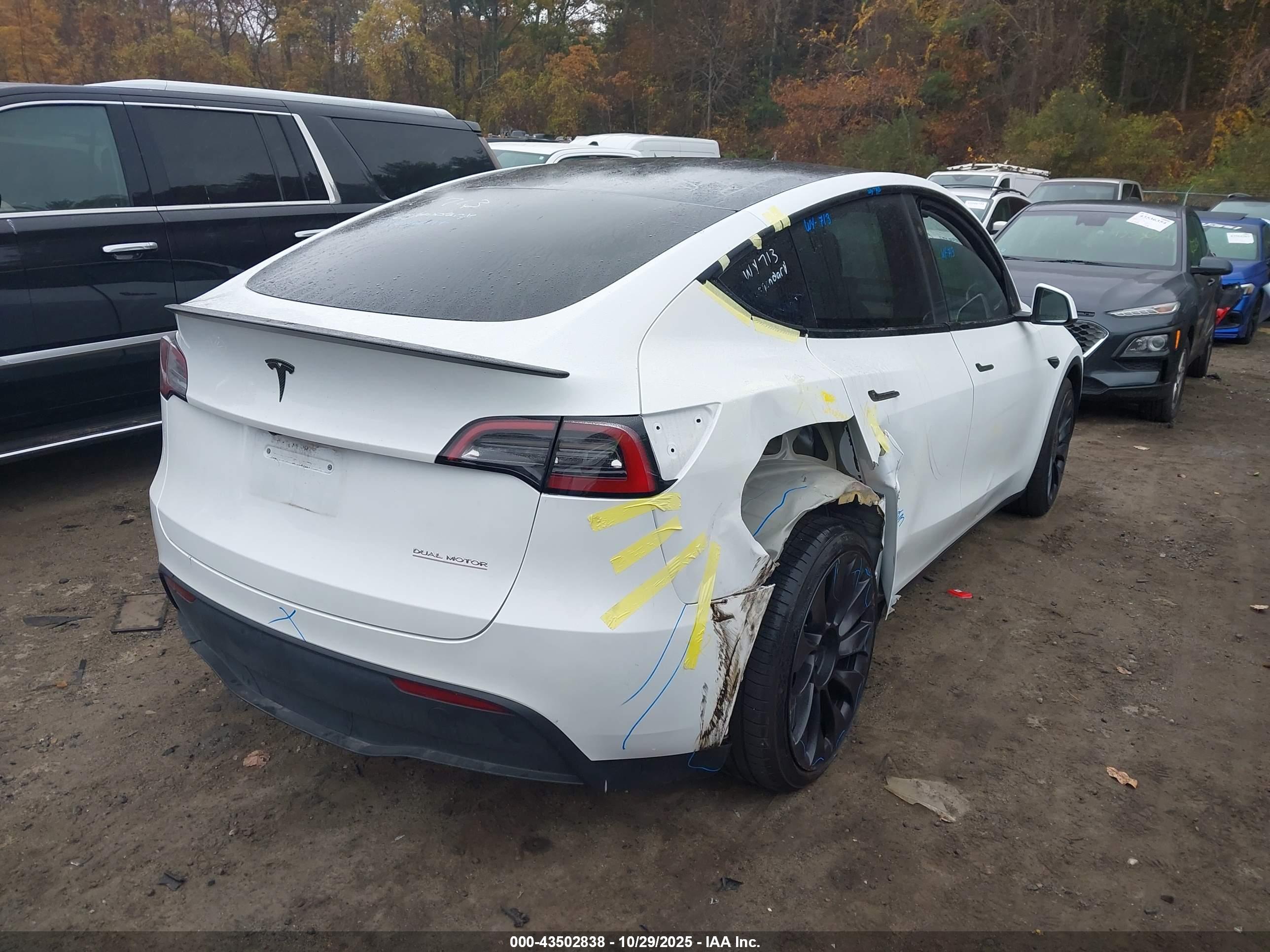 TESLA MODEL image 4