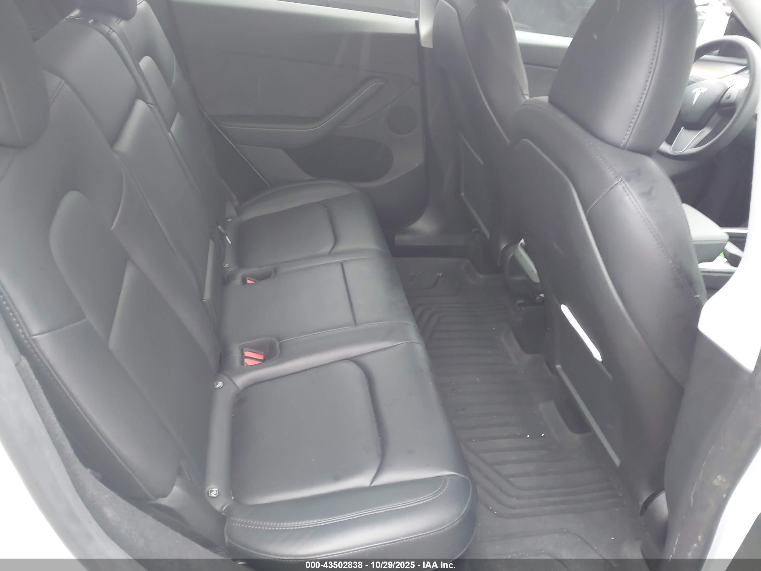 TESLA MODEL image 8