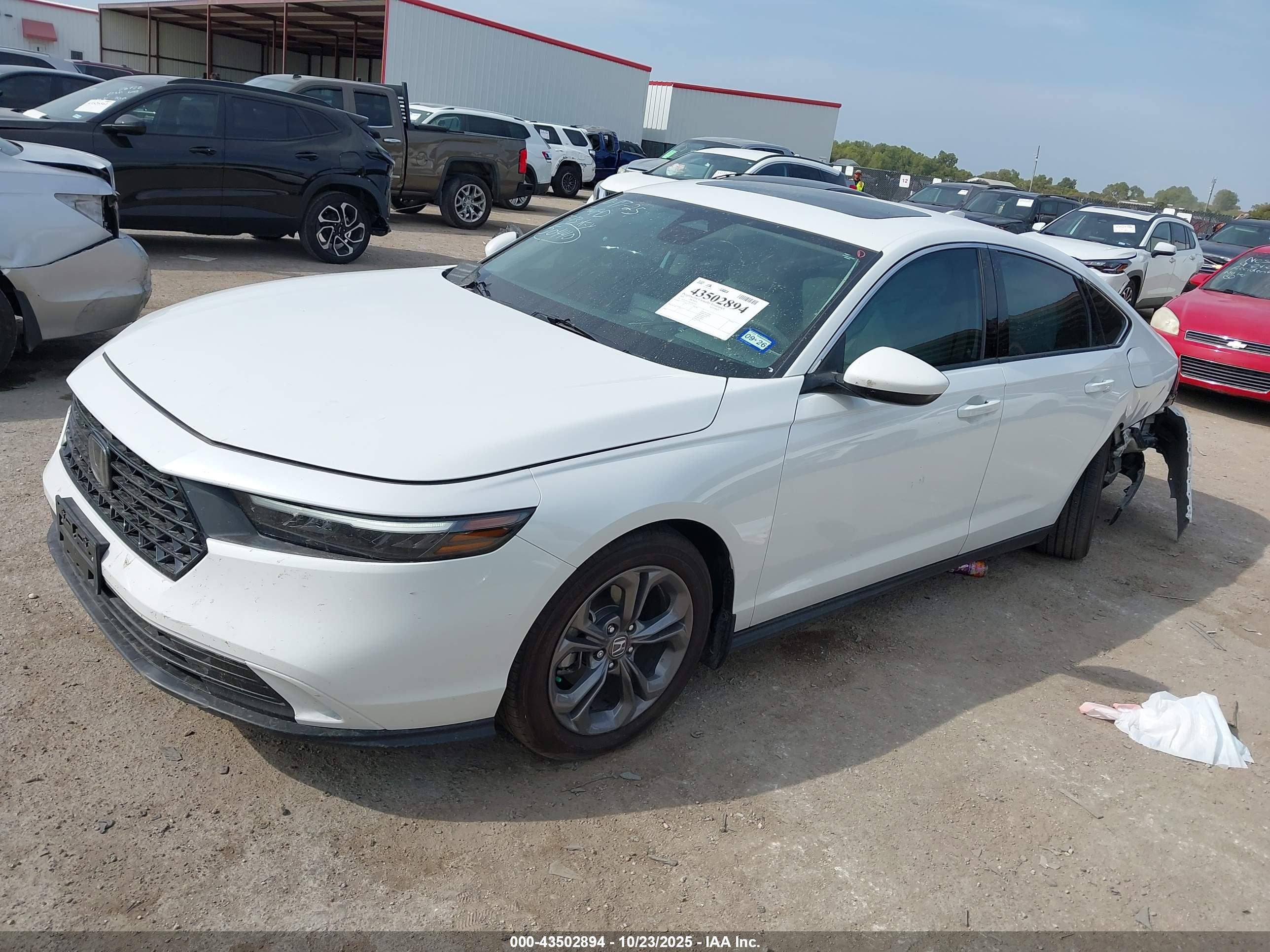 HONDA ACCORD image 2