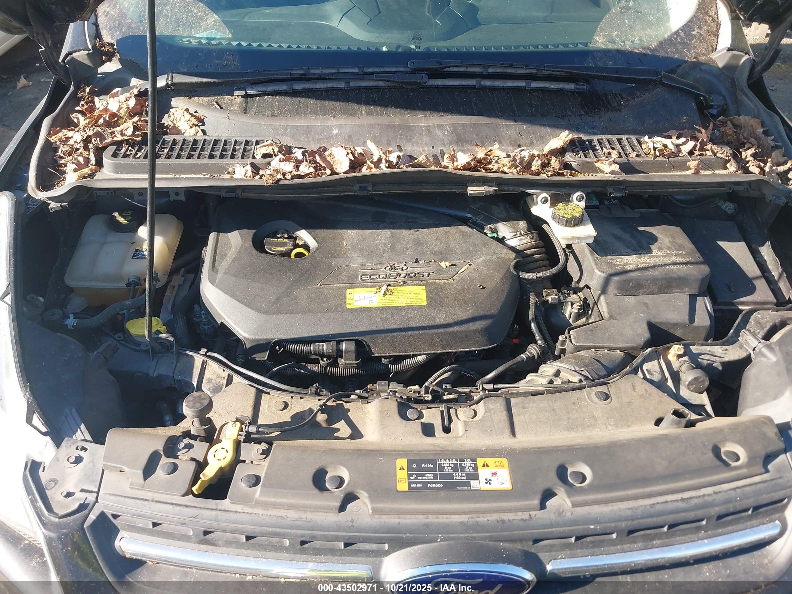 FORD ESCAPE image 10