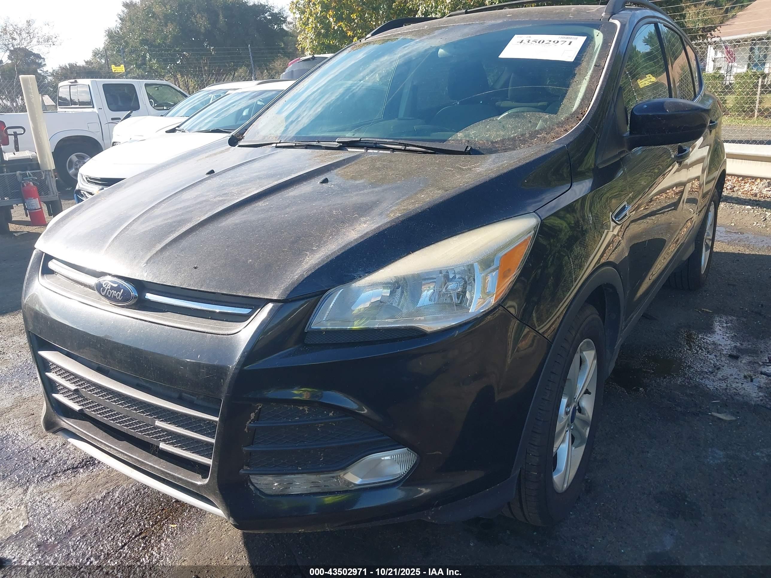 FORD ESCAPE image 6