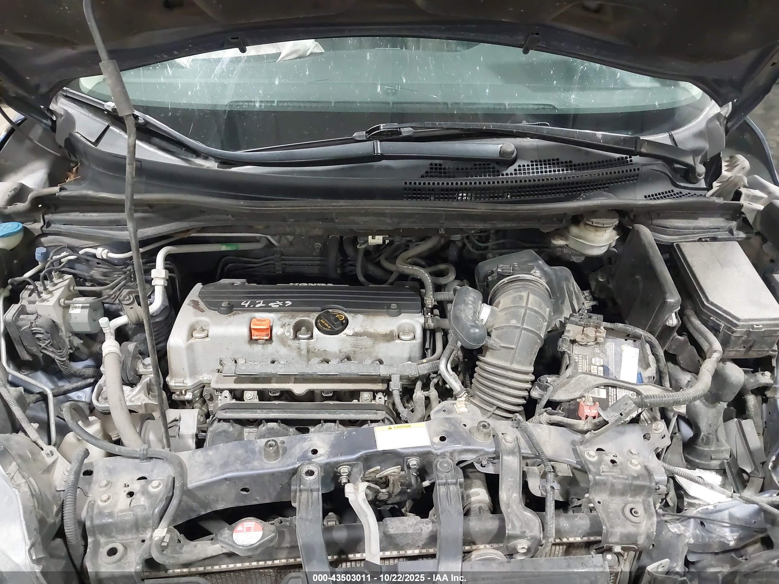 HONDA CR-V image 10