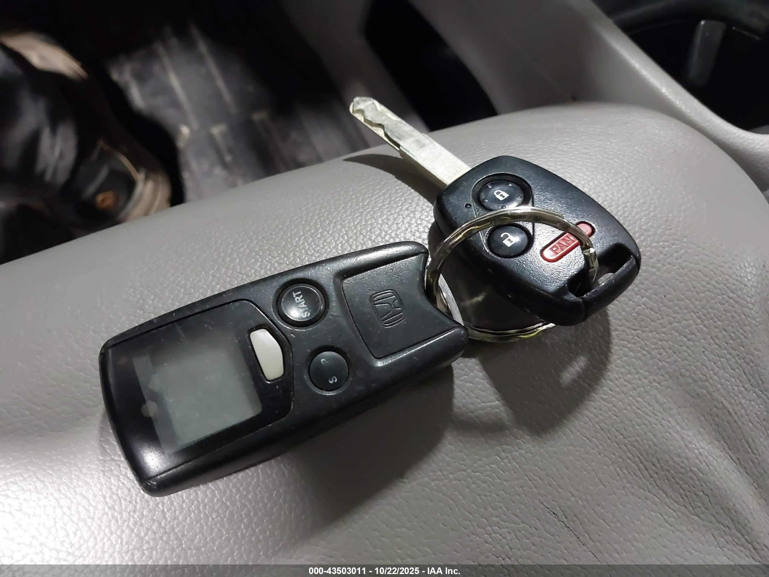 HONDA CR-V image 11