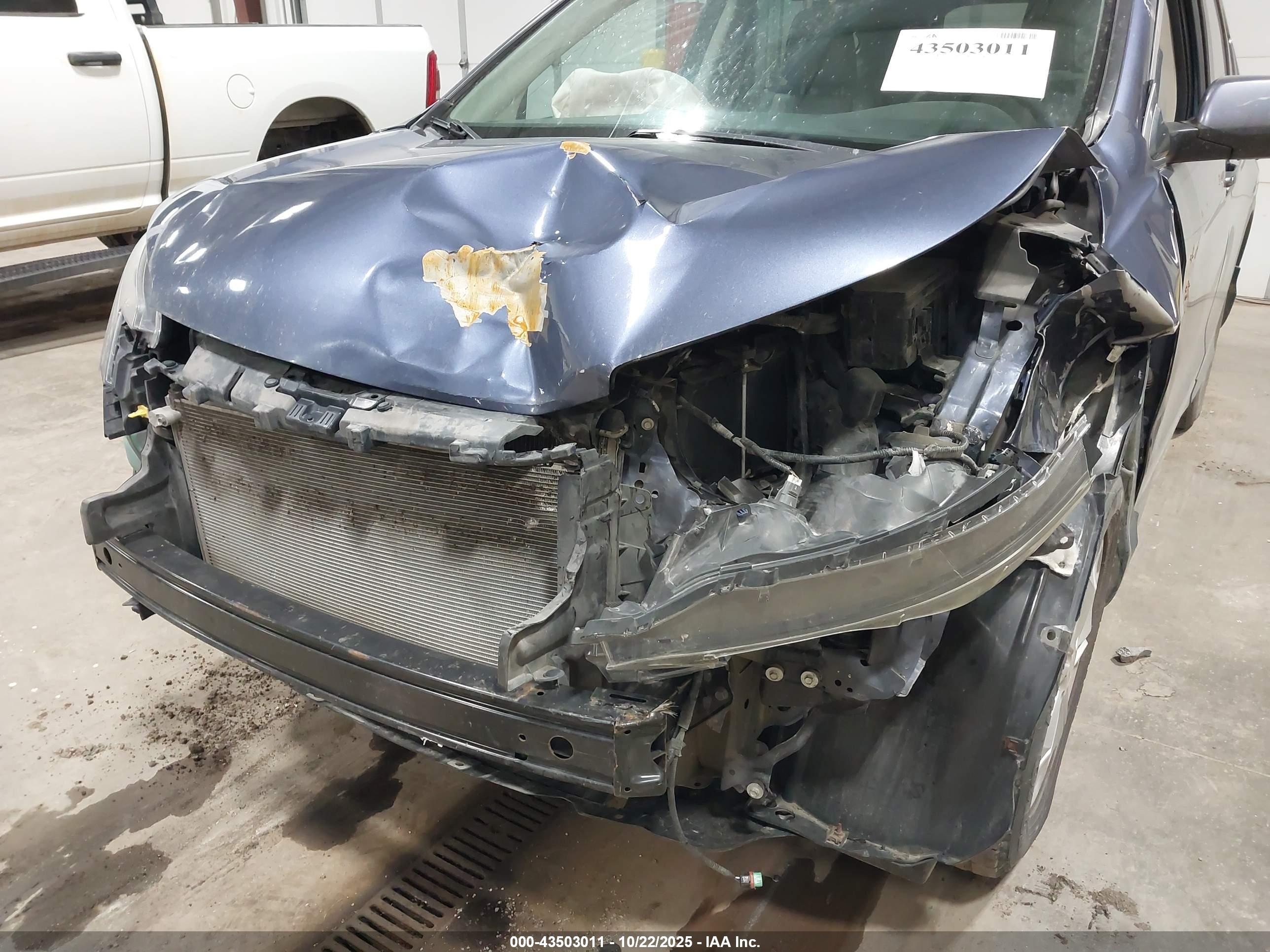 HONDA CR-V image 6