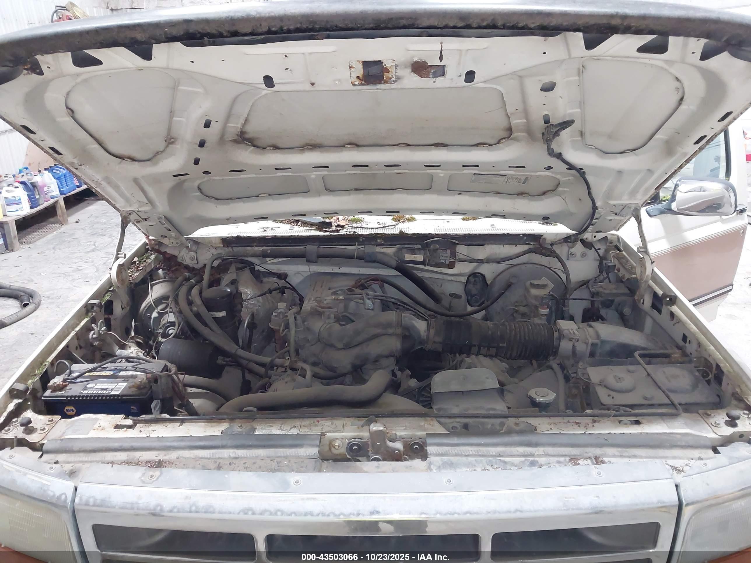 FORD F150 image 10