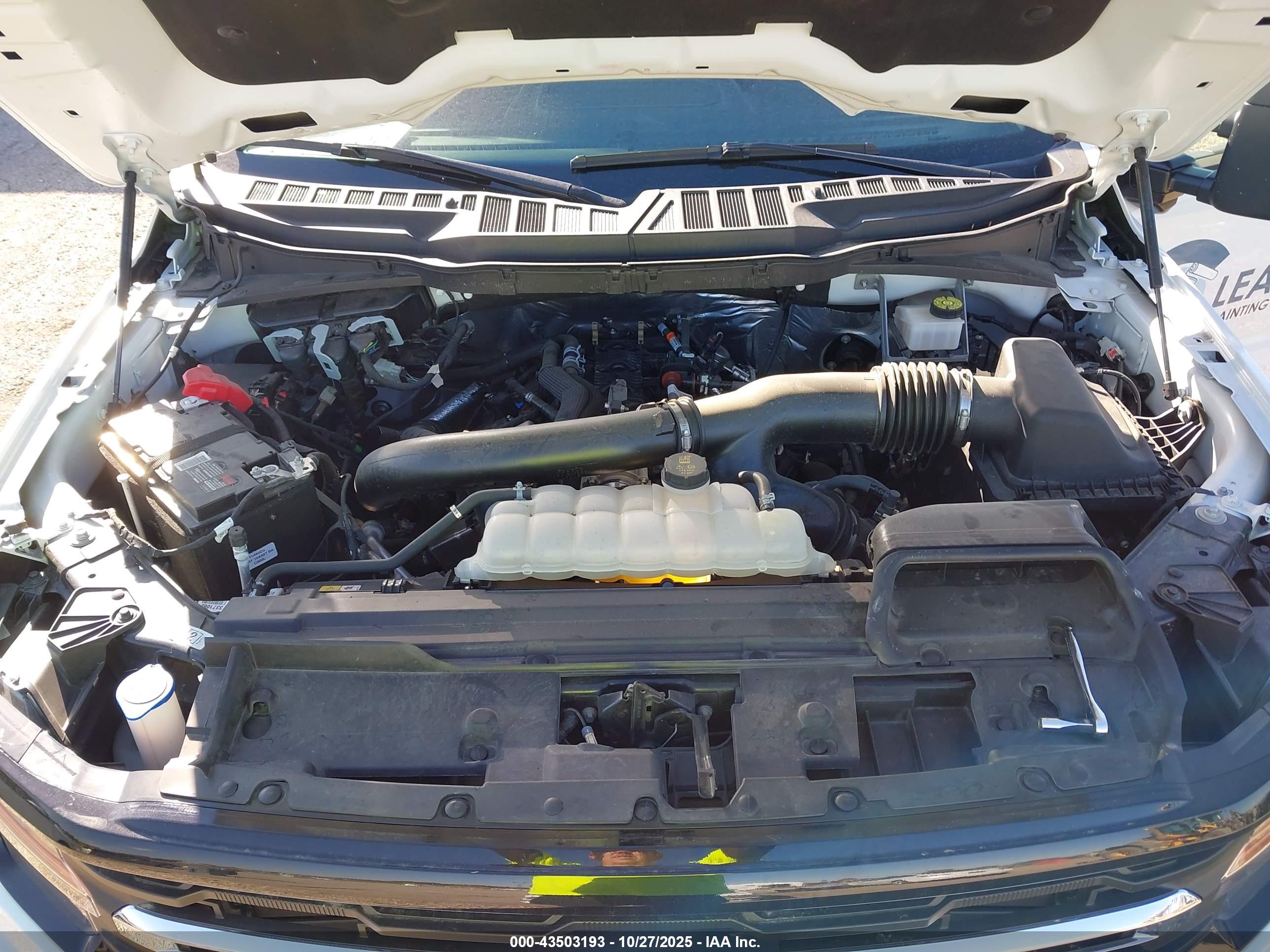 FORD F-150 image 10