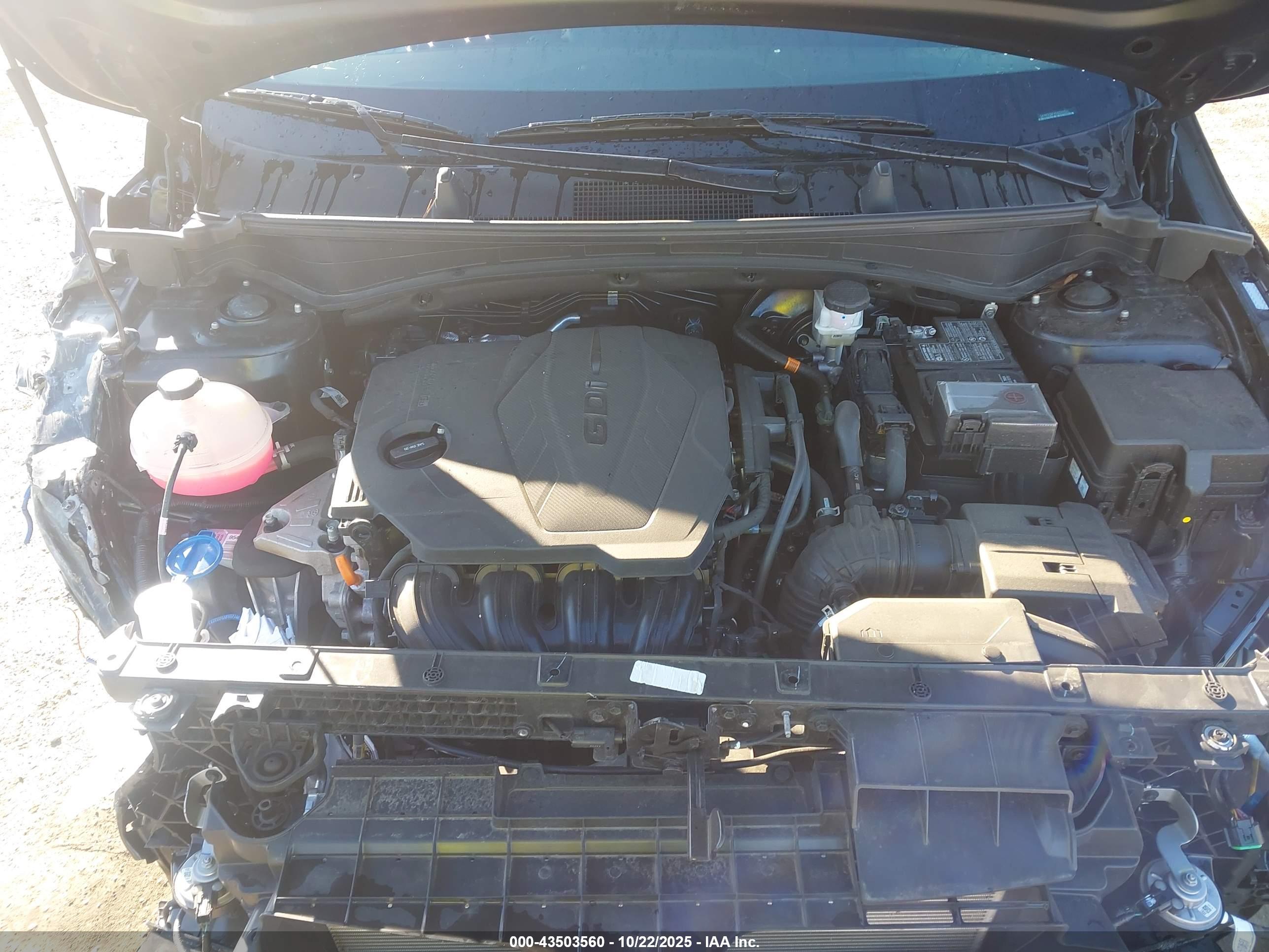 KIA SPORTAGE image 10