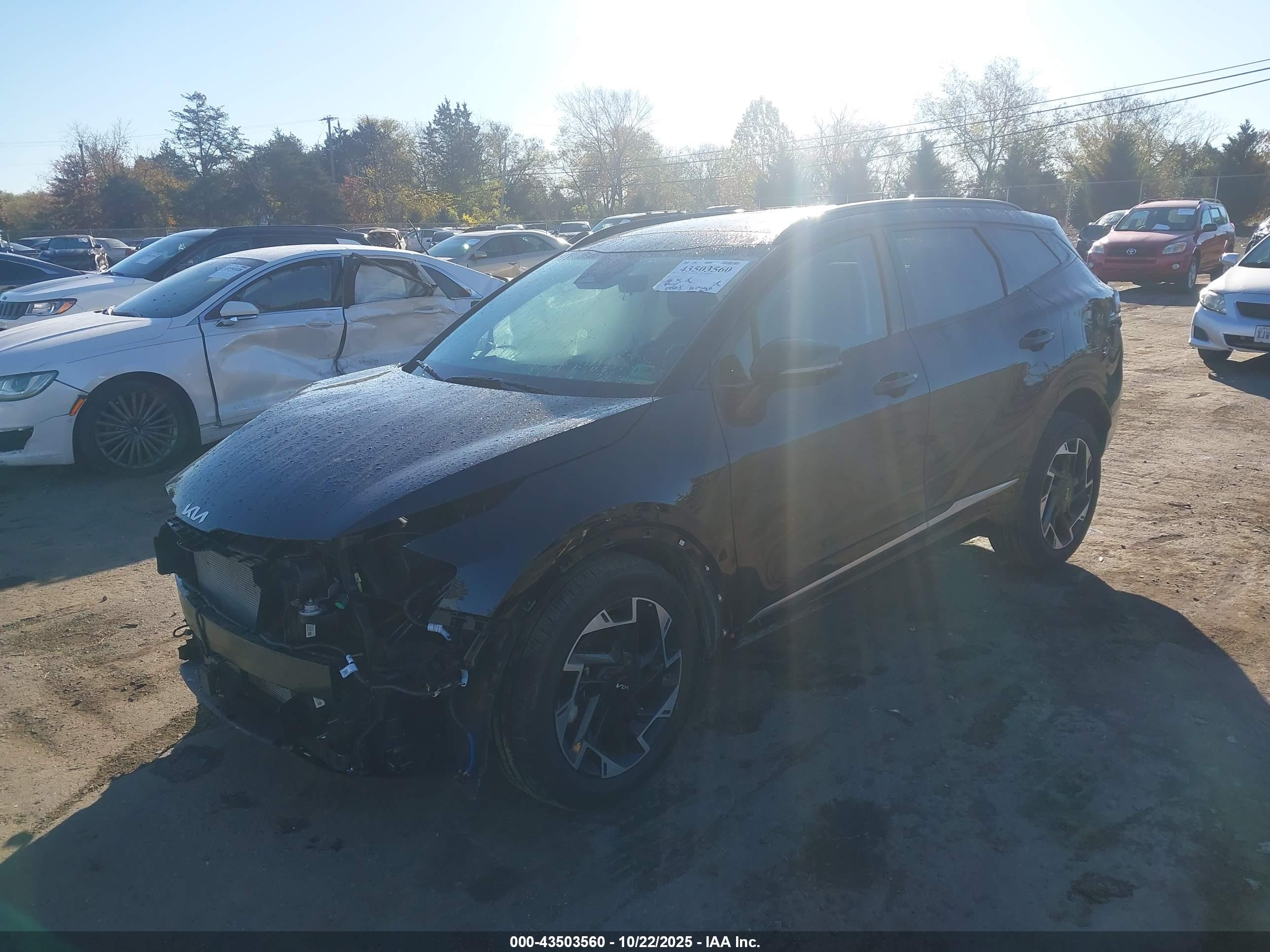 KIA SPORTAGE image 2