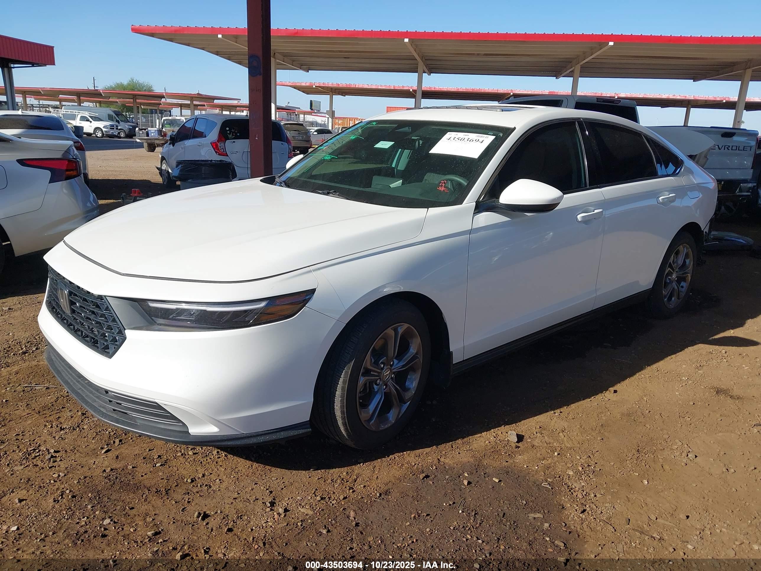 HONDA ACCORD image 2