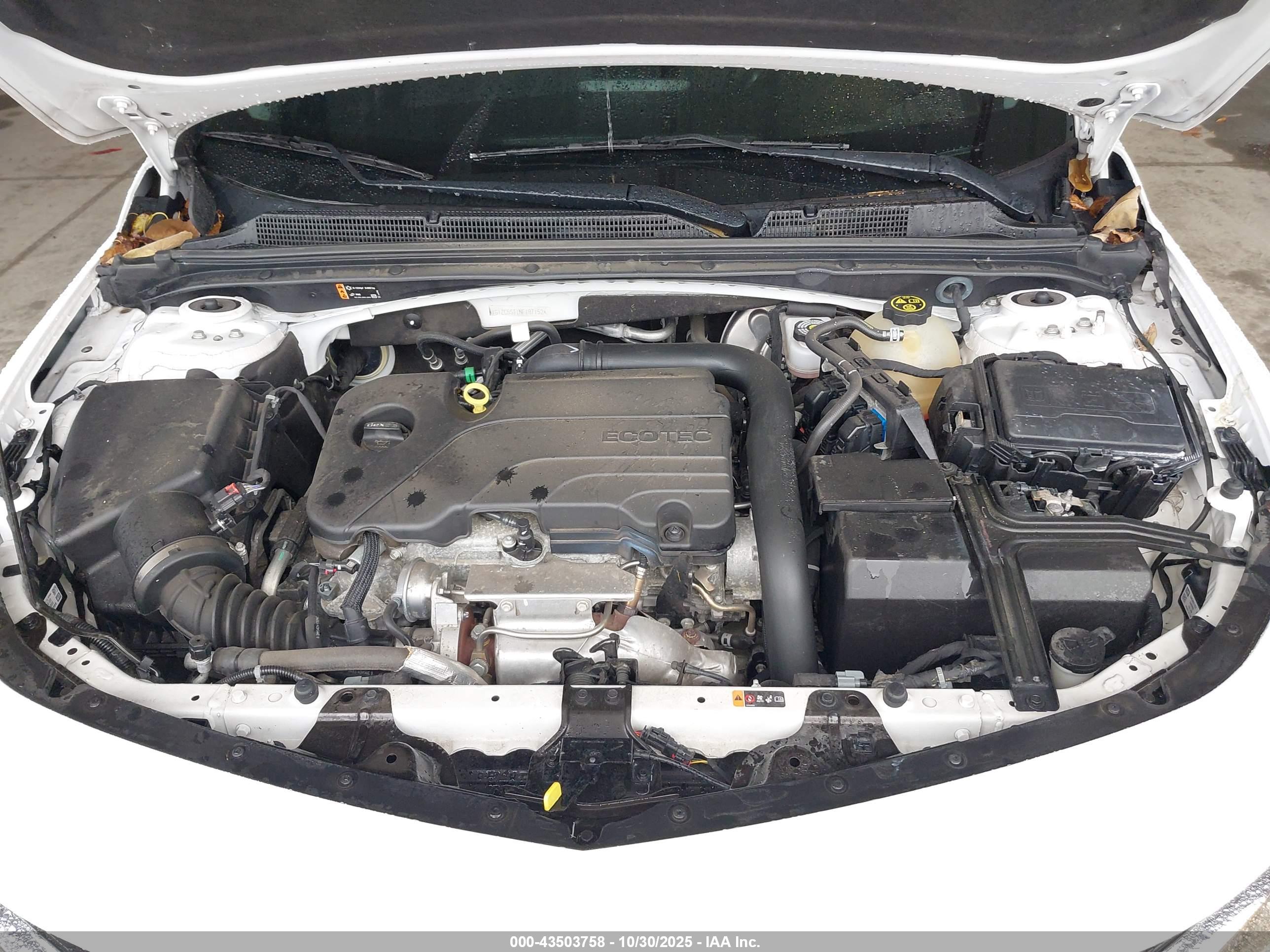 CHEVROLET MALIBU image 10