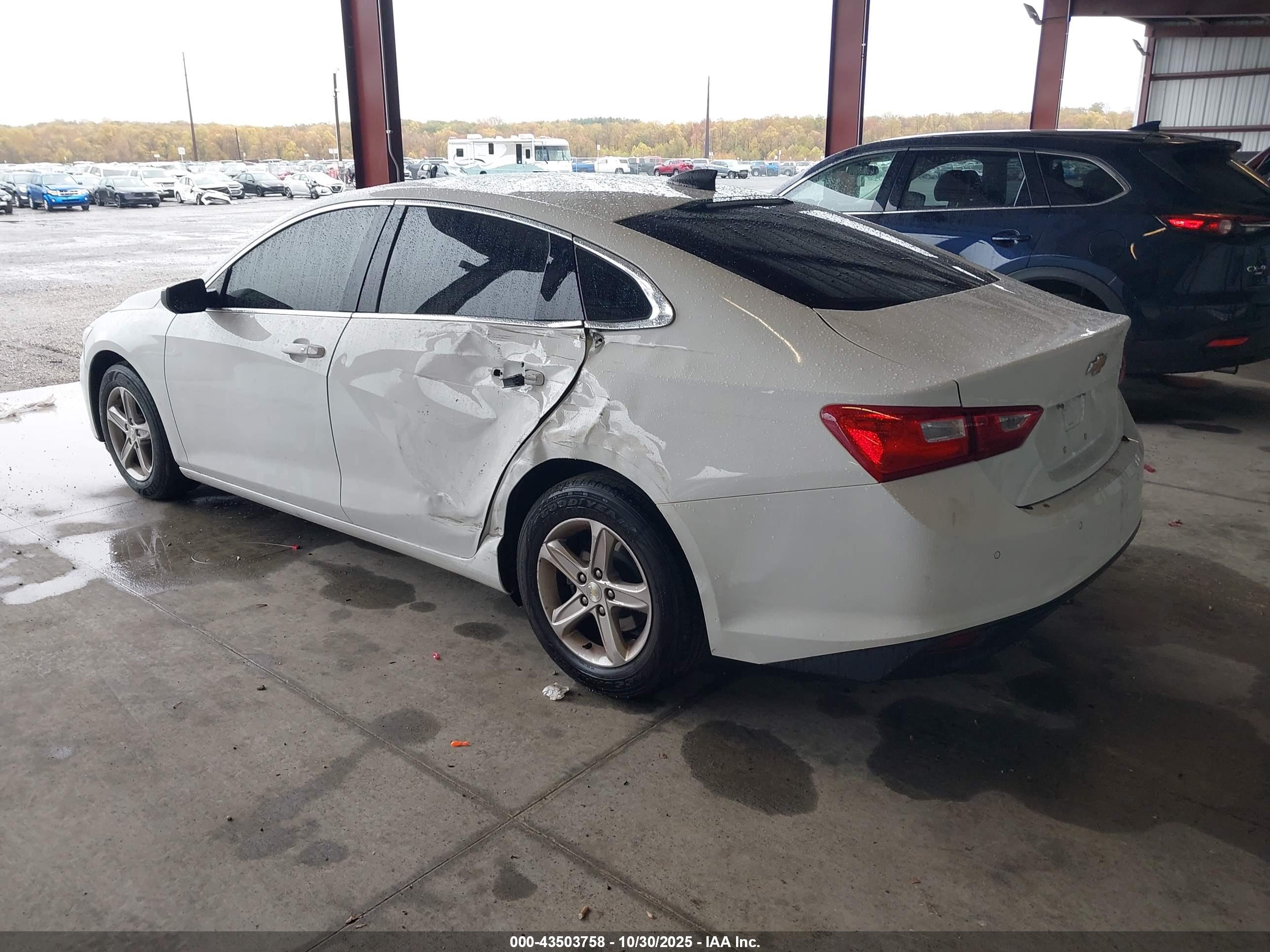 CHEVROLET MALIBU image 3