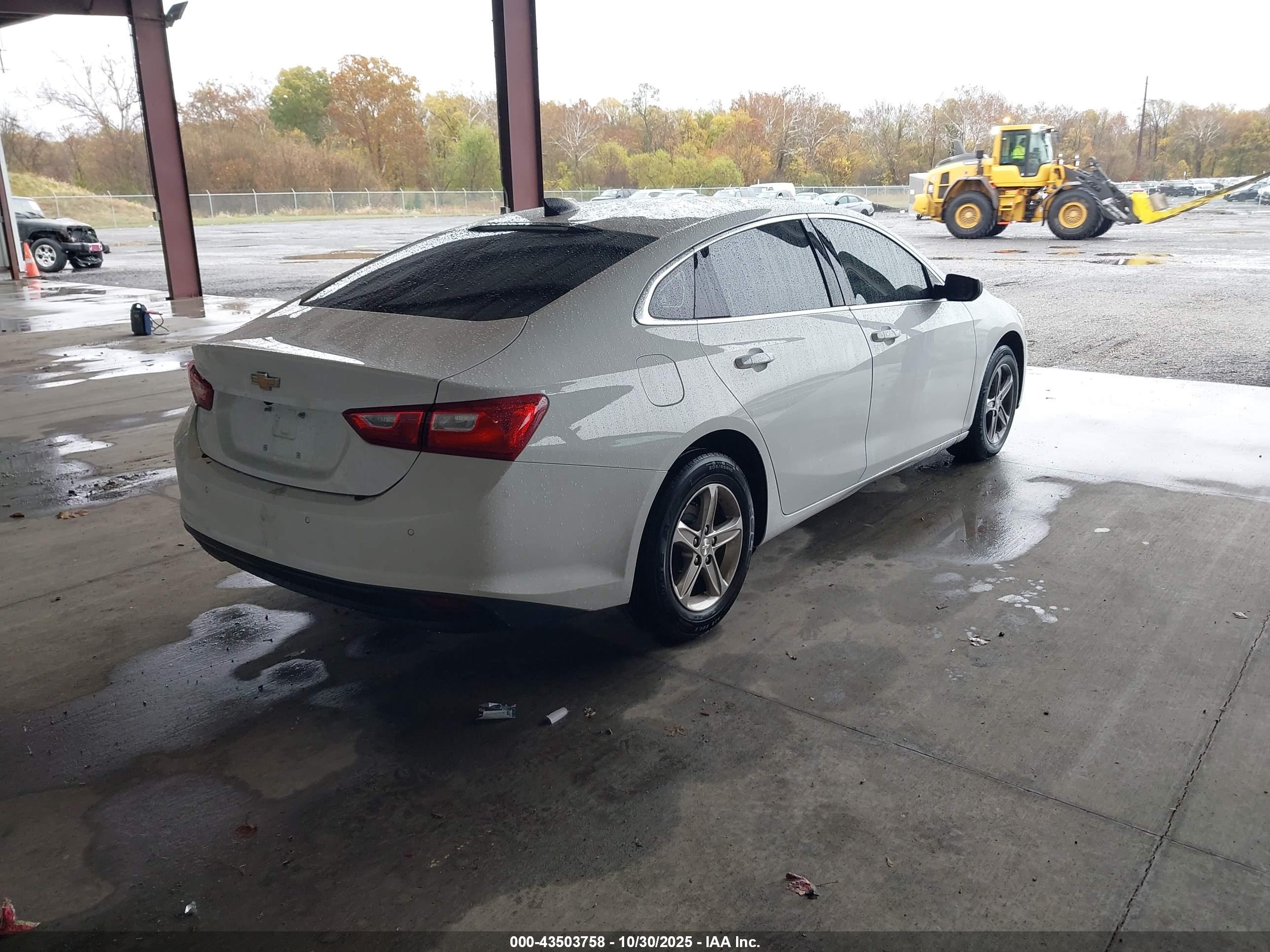 CHEVROLET MALIBU image 4