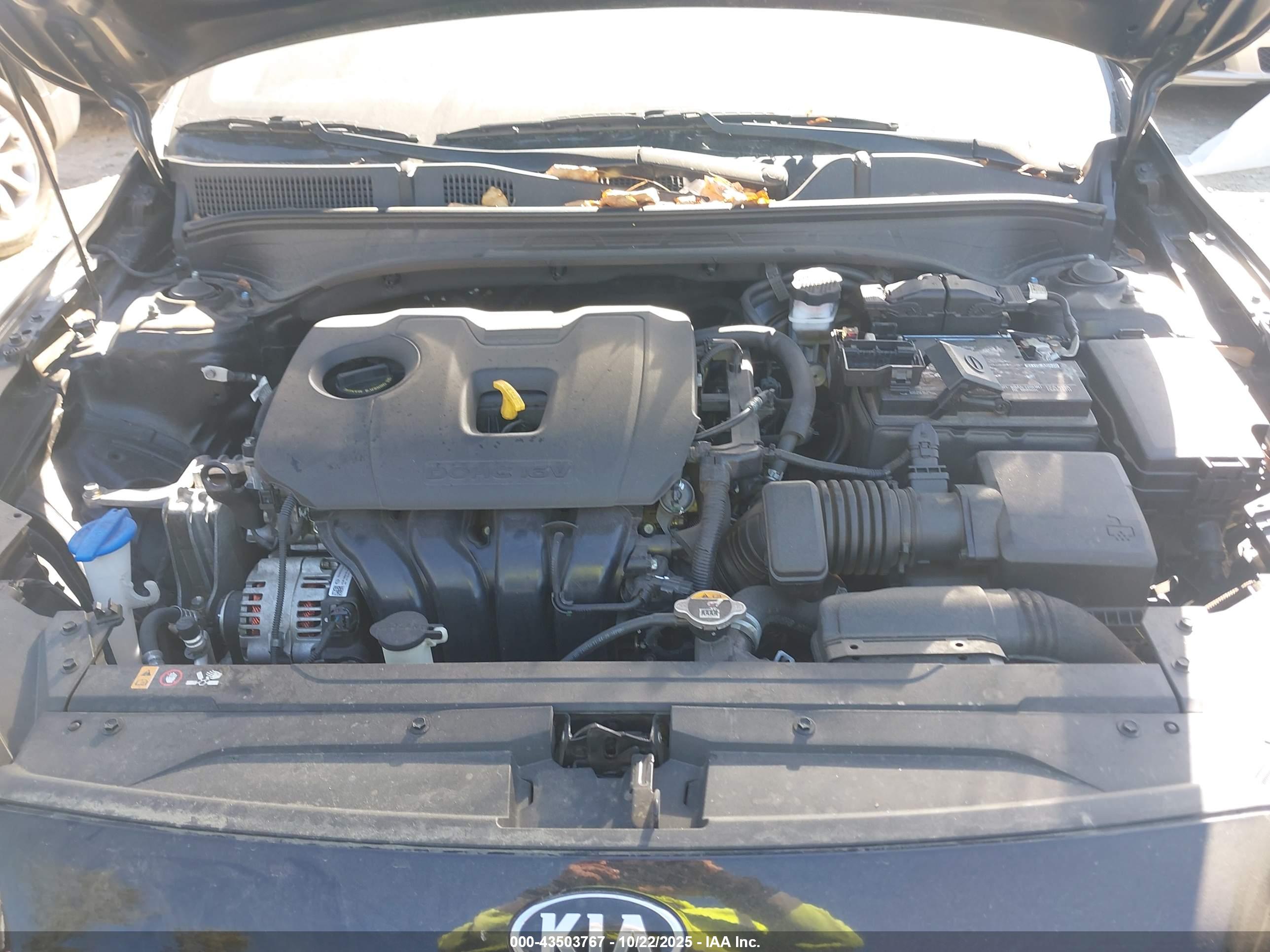 KIA FORTE image 10