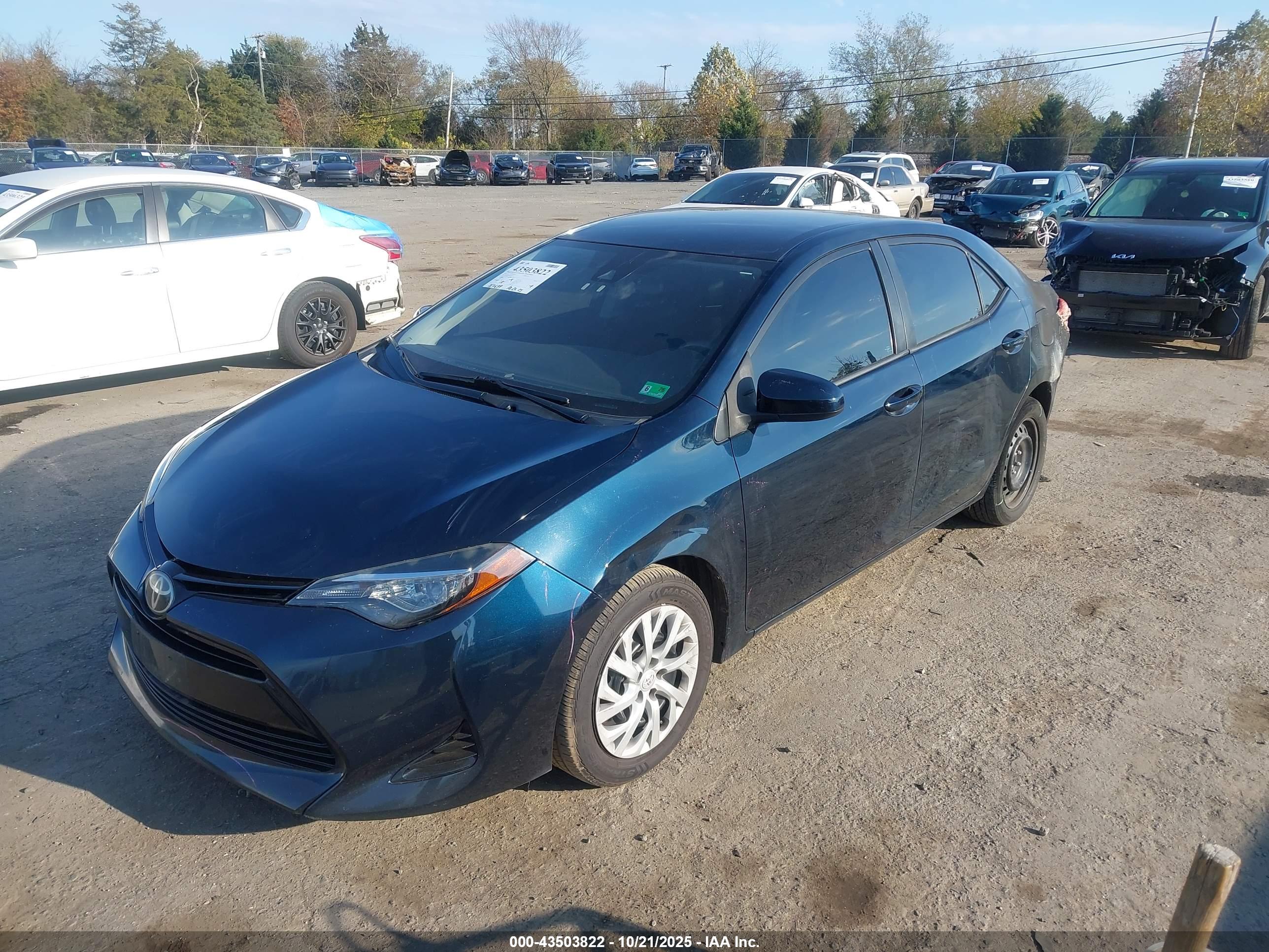 TOYOTA COROLLA image 2