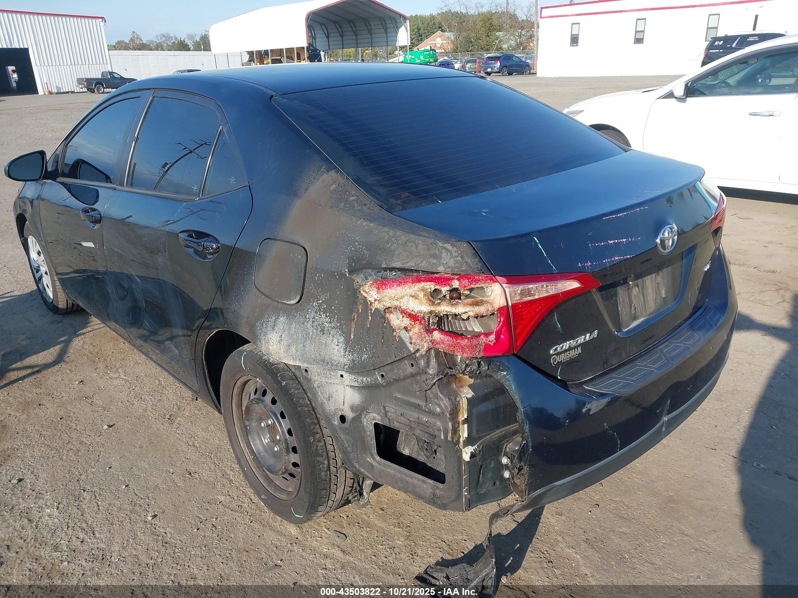 TOYOTA COROLLA image 6