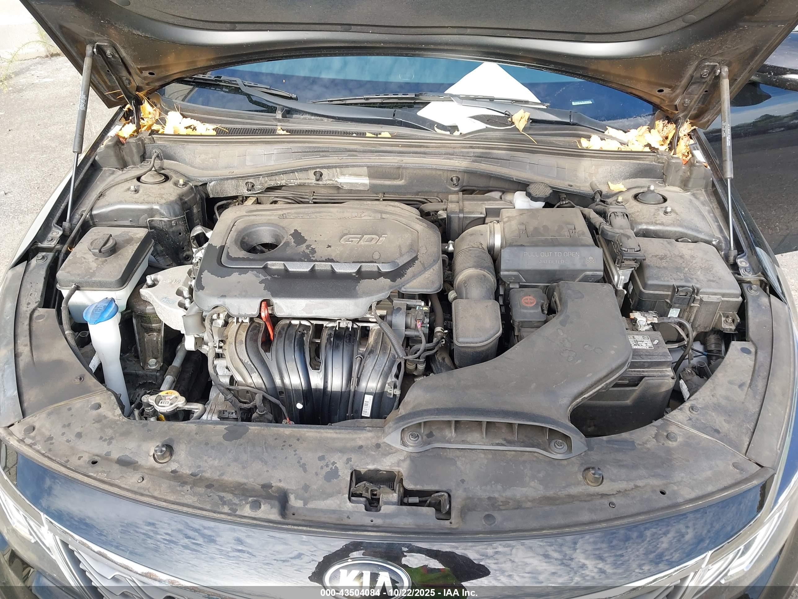 KIA OPTIMA image 10