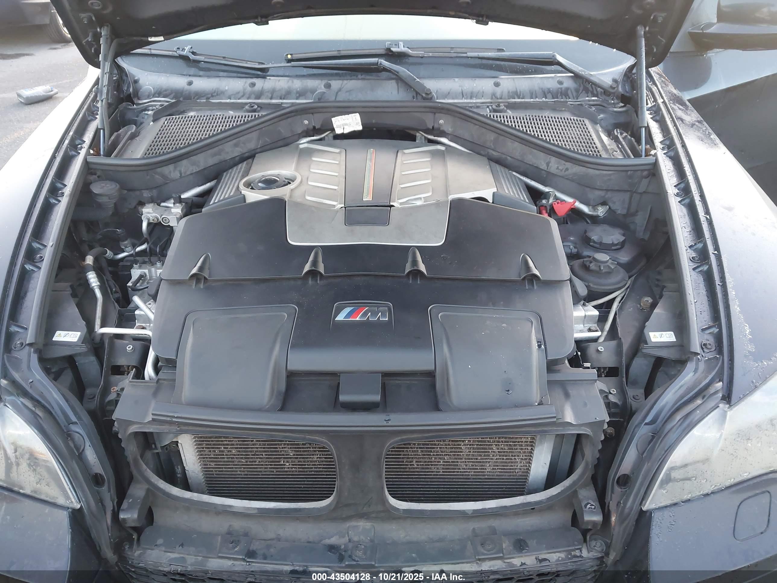 BMW X6 image 10