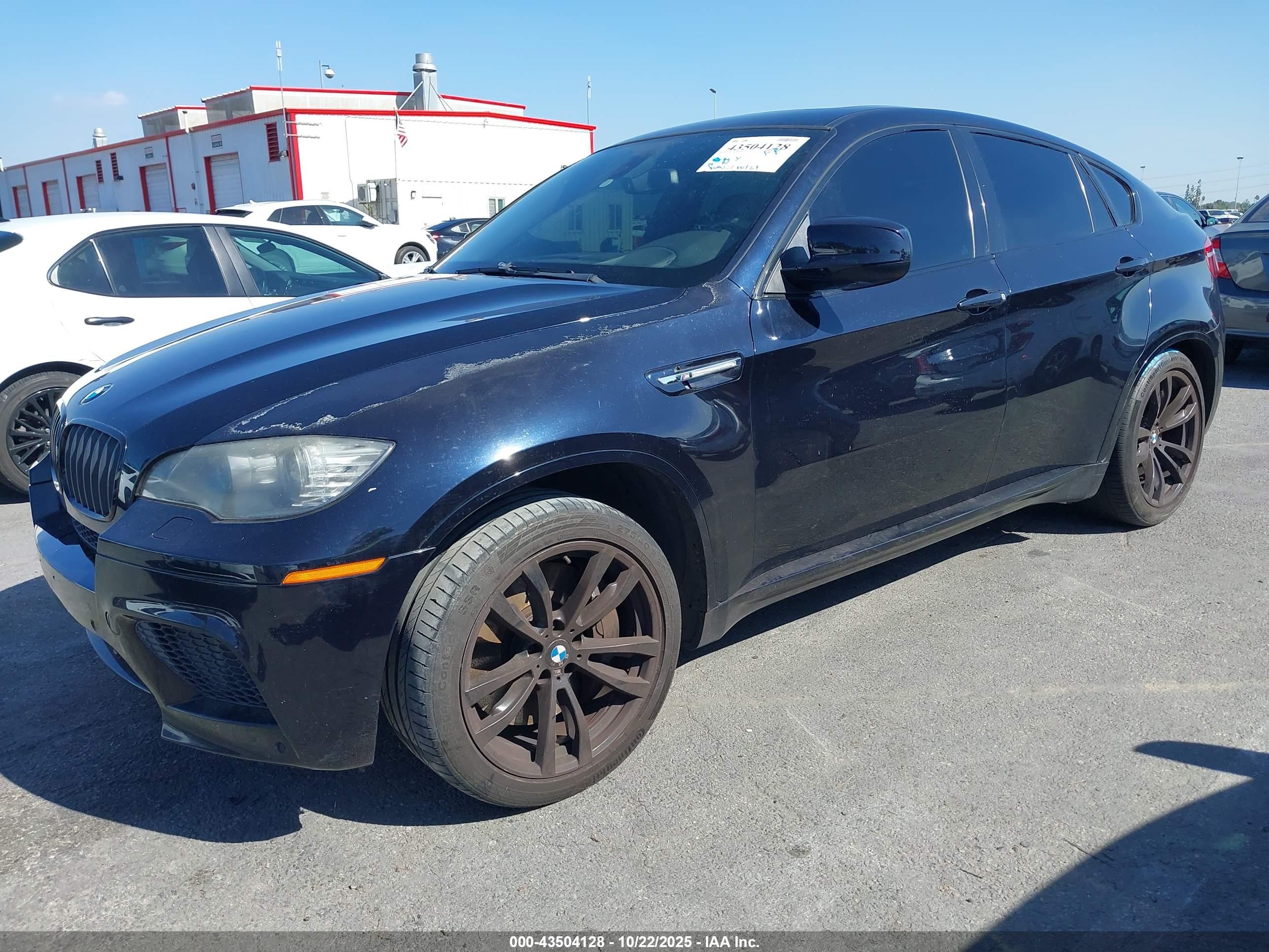 BMW X6 image 2