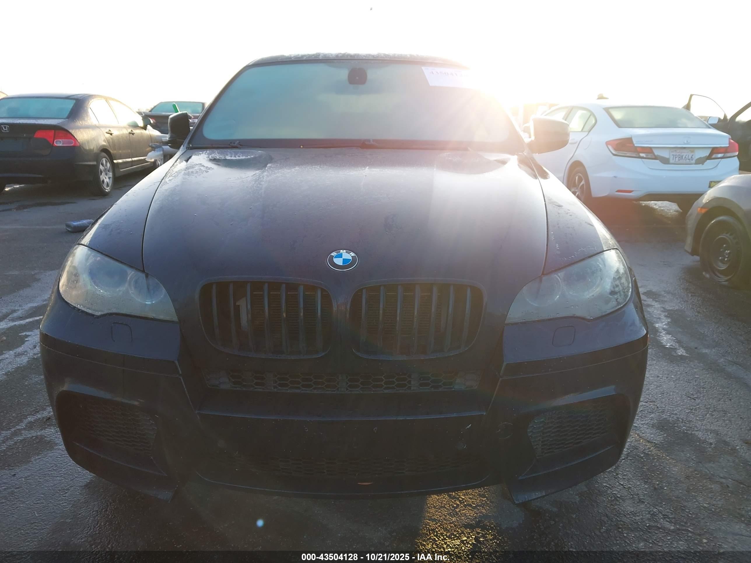 BMW X6 image 6