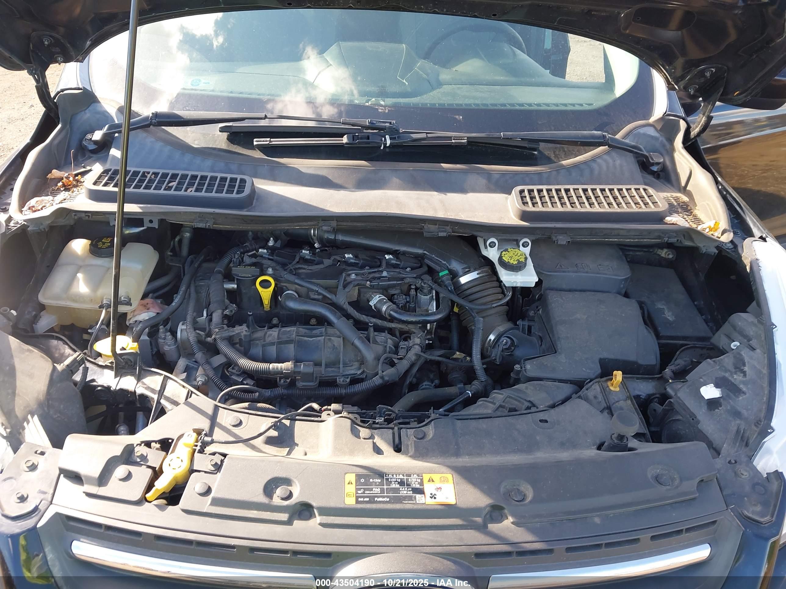 FORD ESCAPE image 10