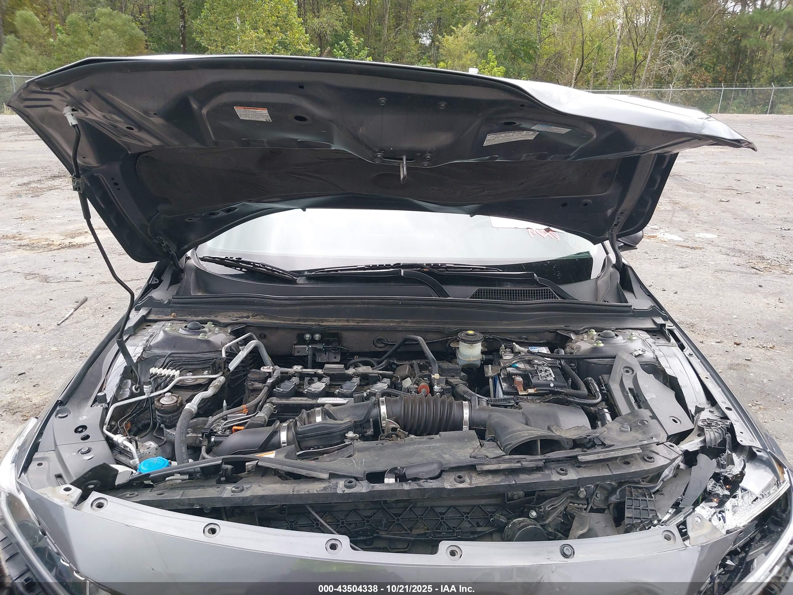 HONDA ACCORD image 10