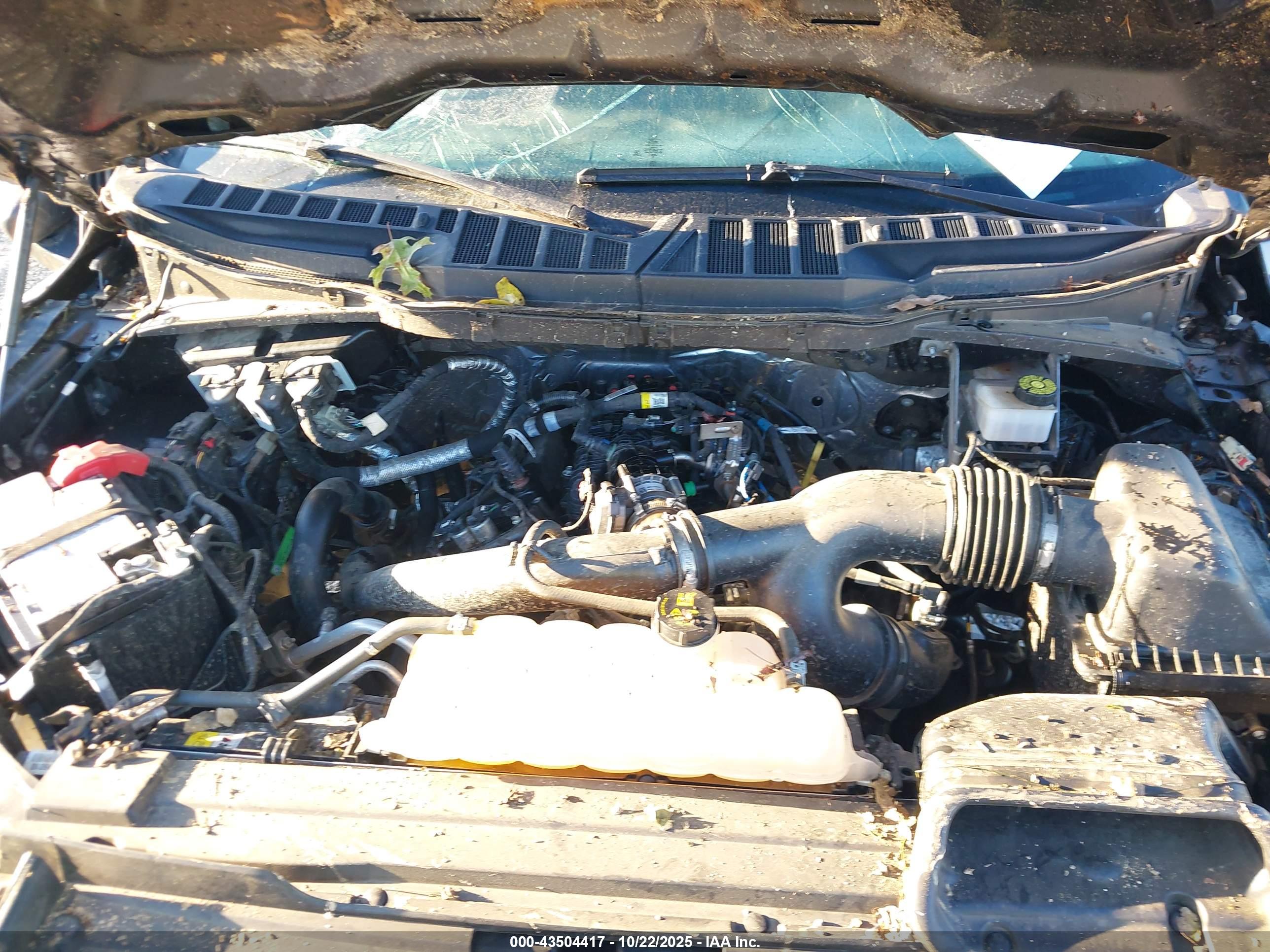 FORD F-150 image 10