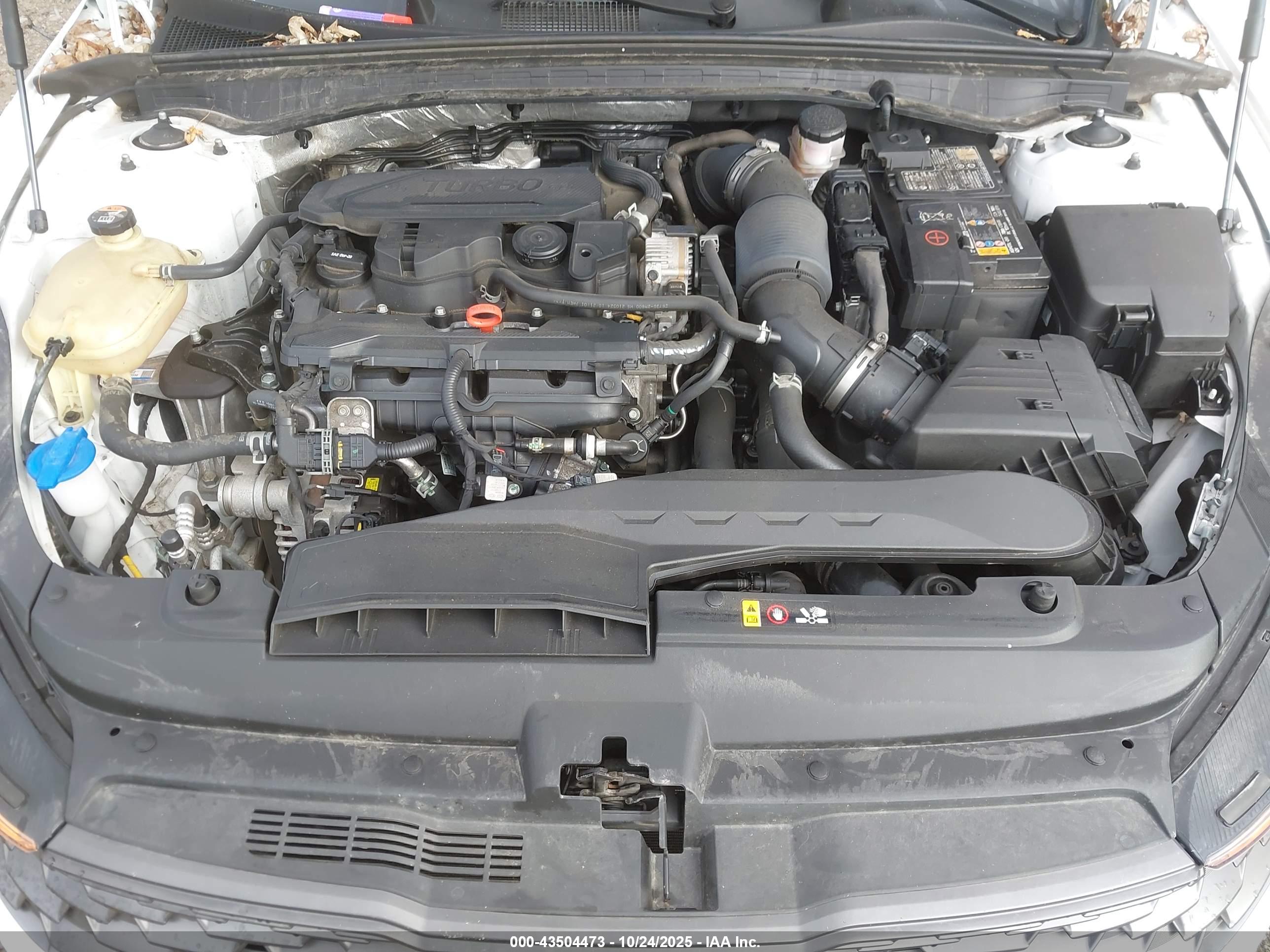 KIA K5 image 10