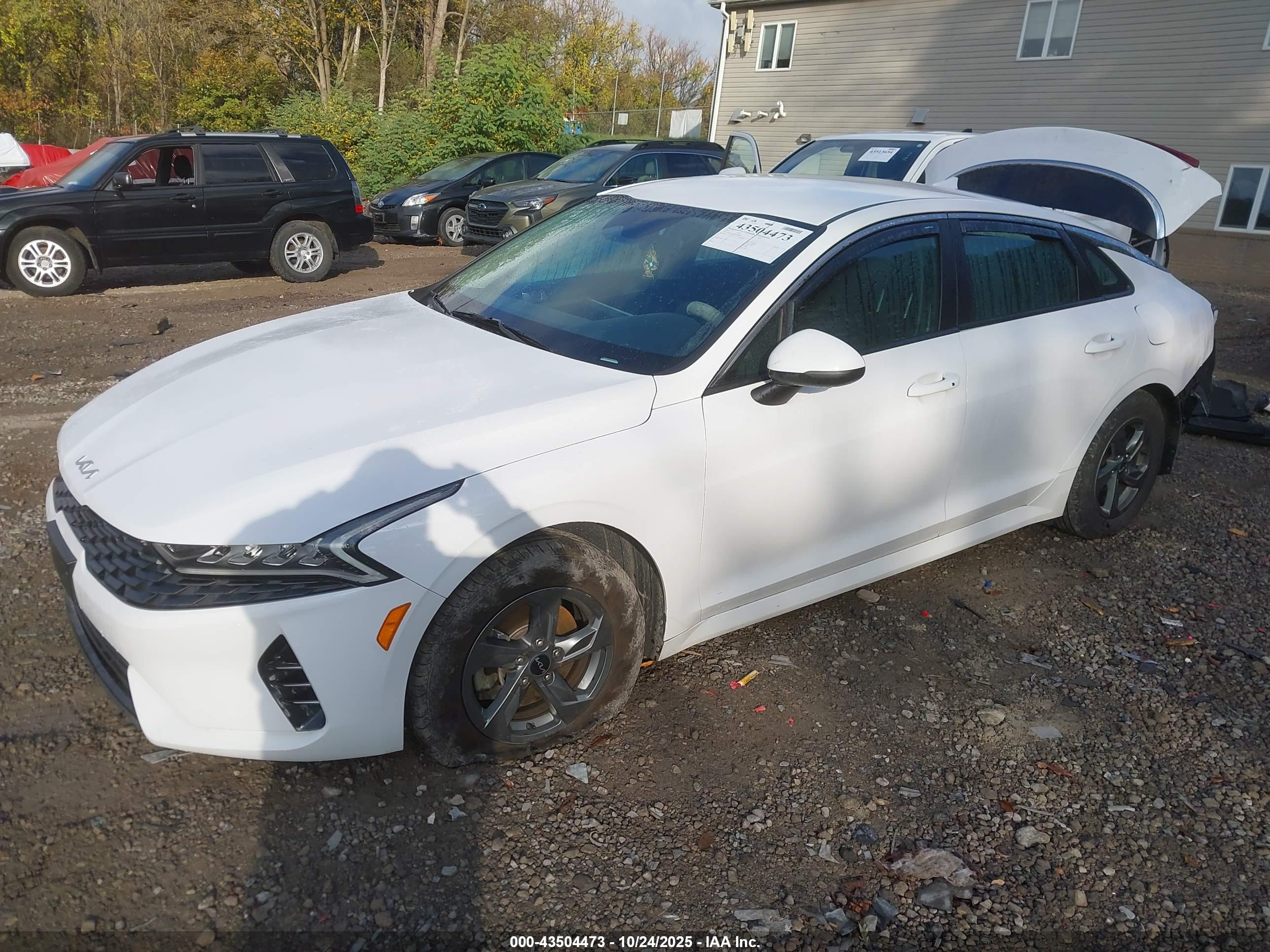 KIA K5 image 2