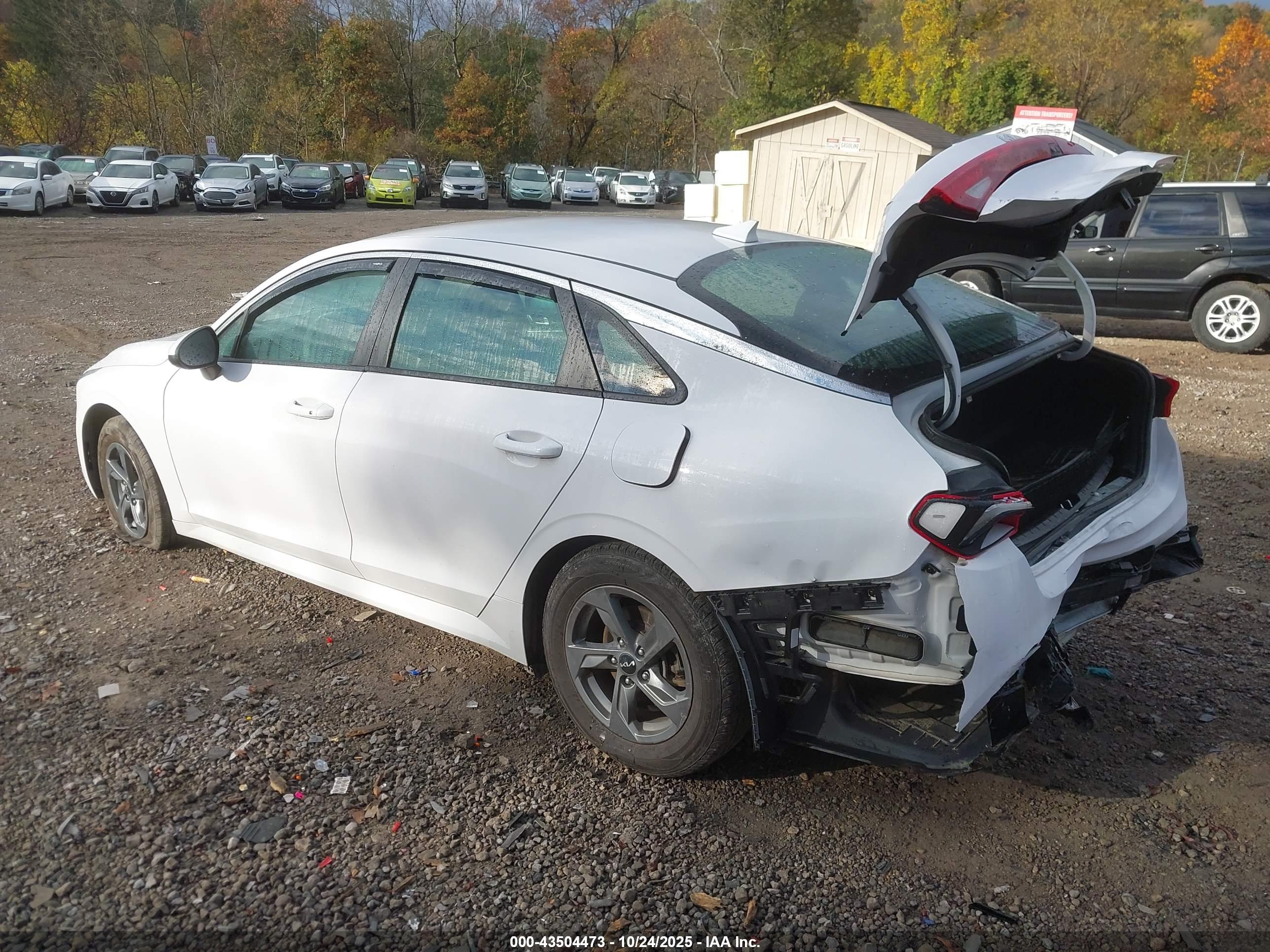 KIA K5 image 3