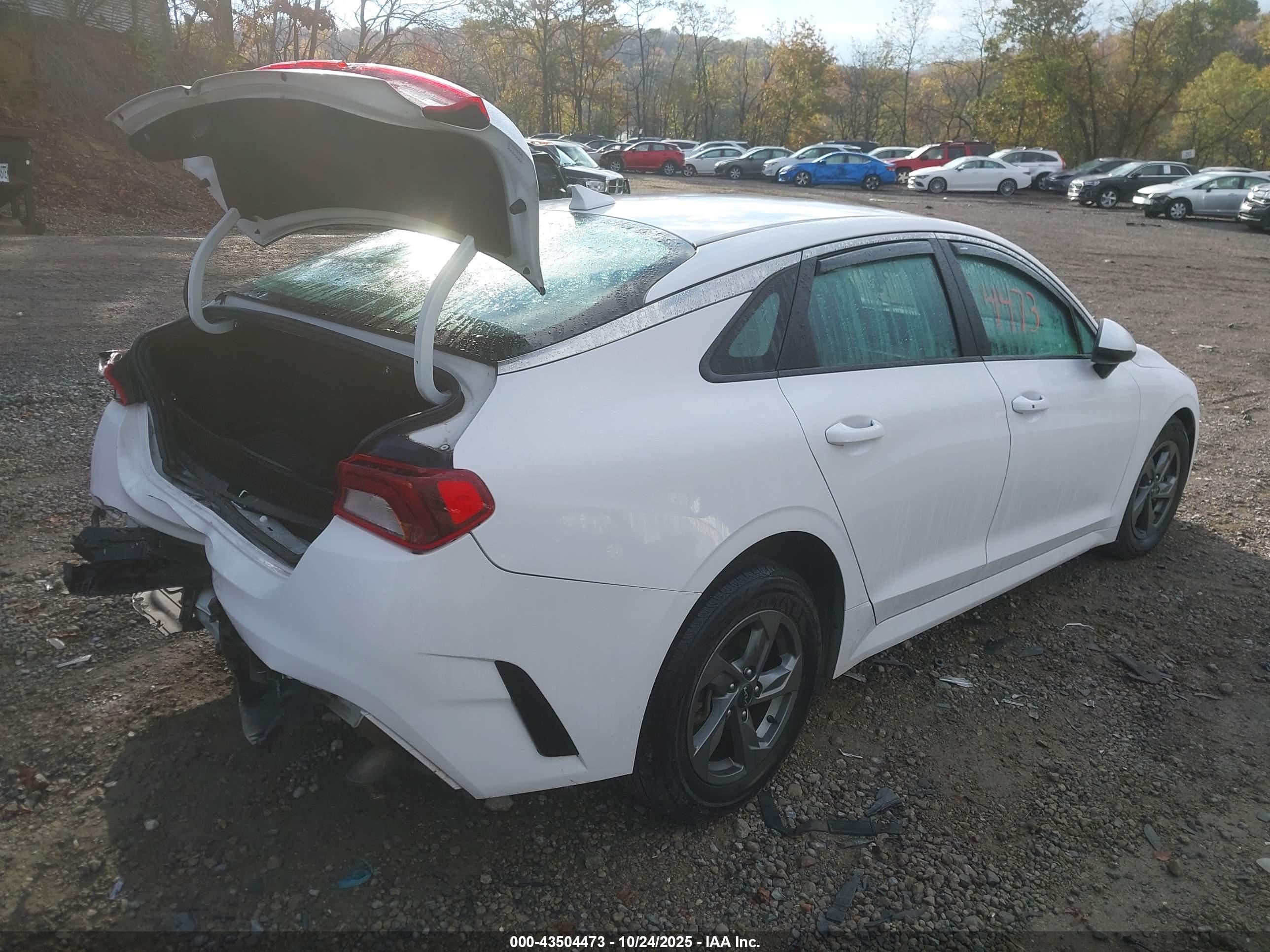 KIA K5 image 4