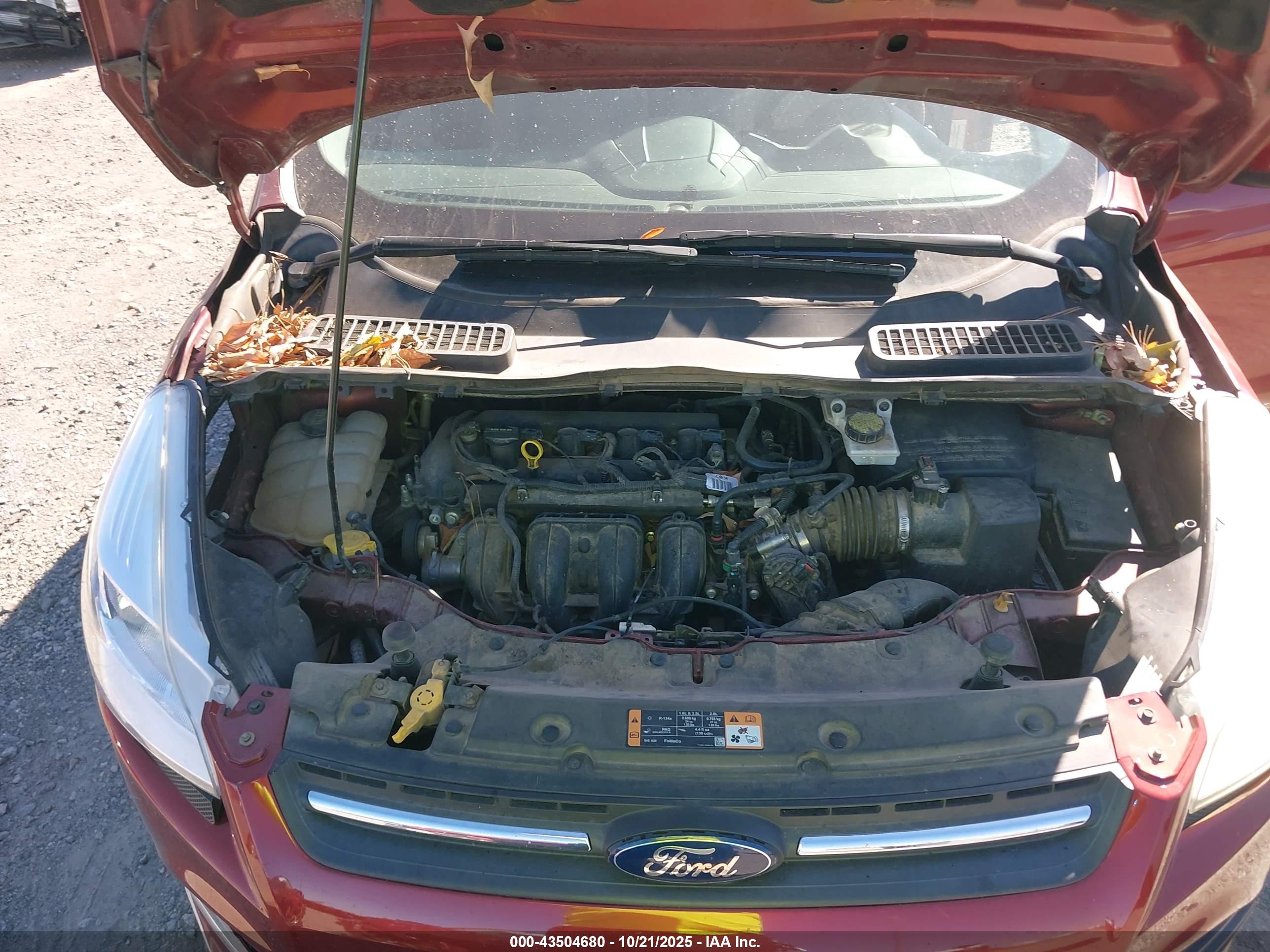 FORD ESCAPE image 10