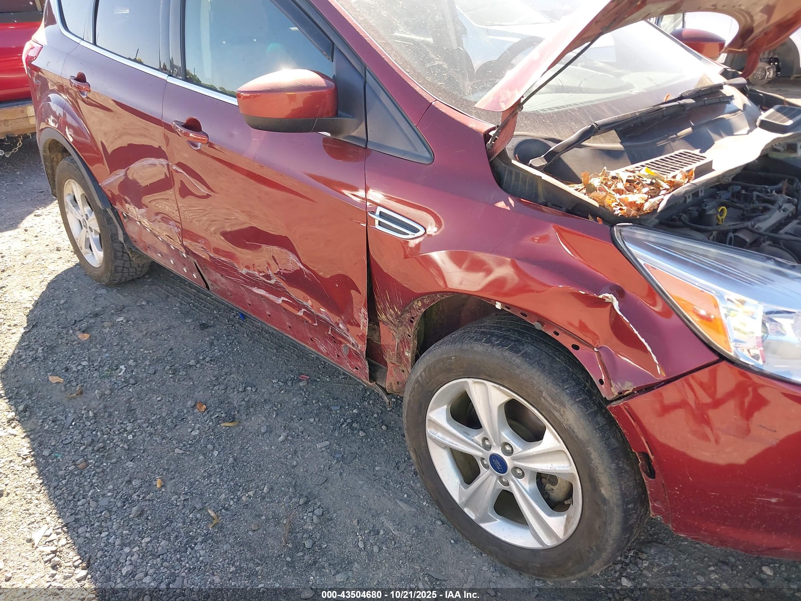 FORD ESCAPE image 6