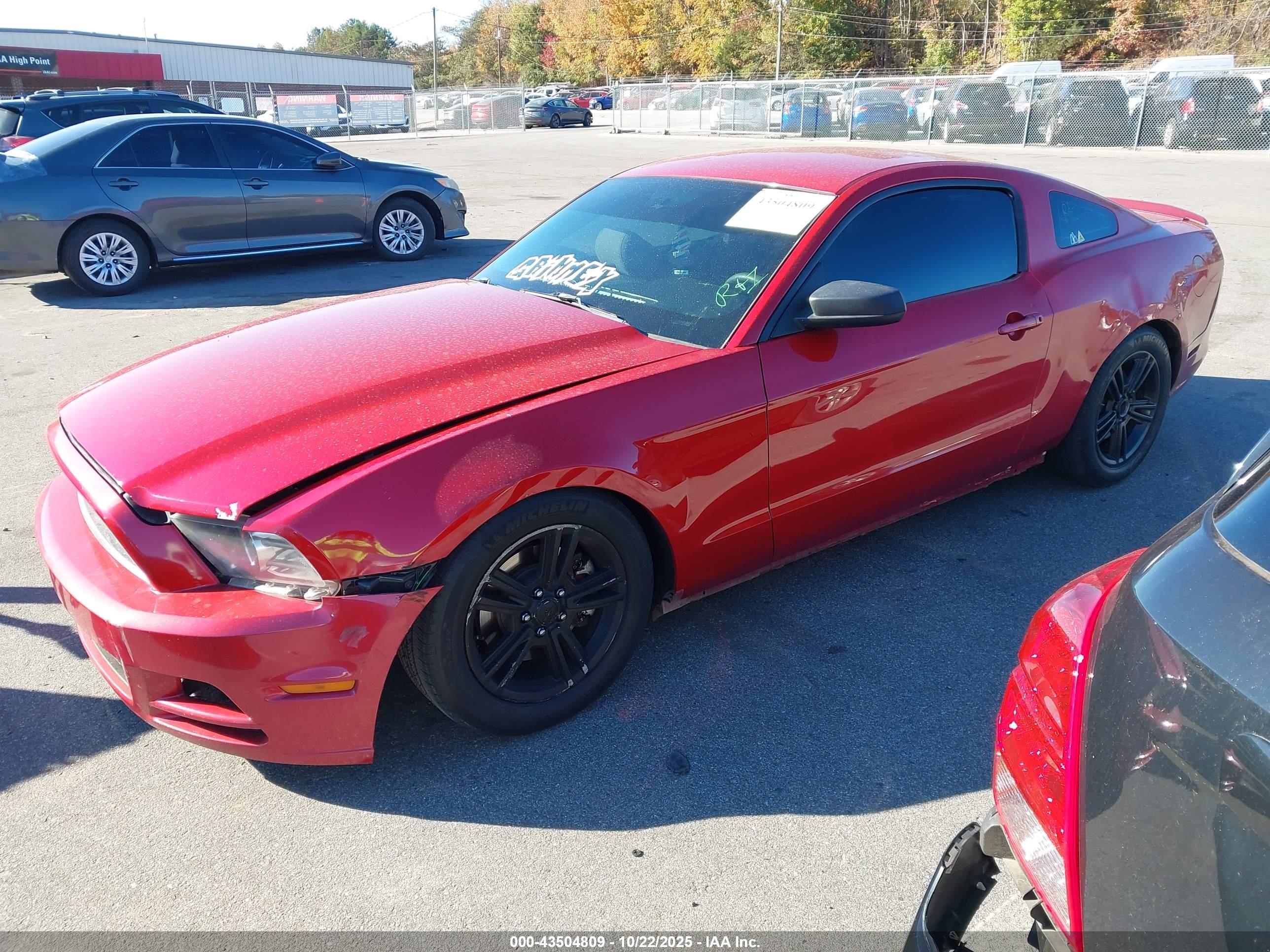 FORD MUSTANG image 2