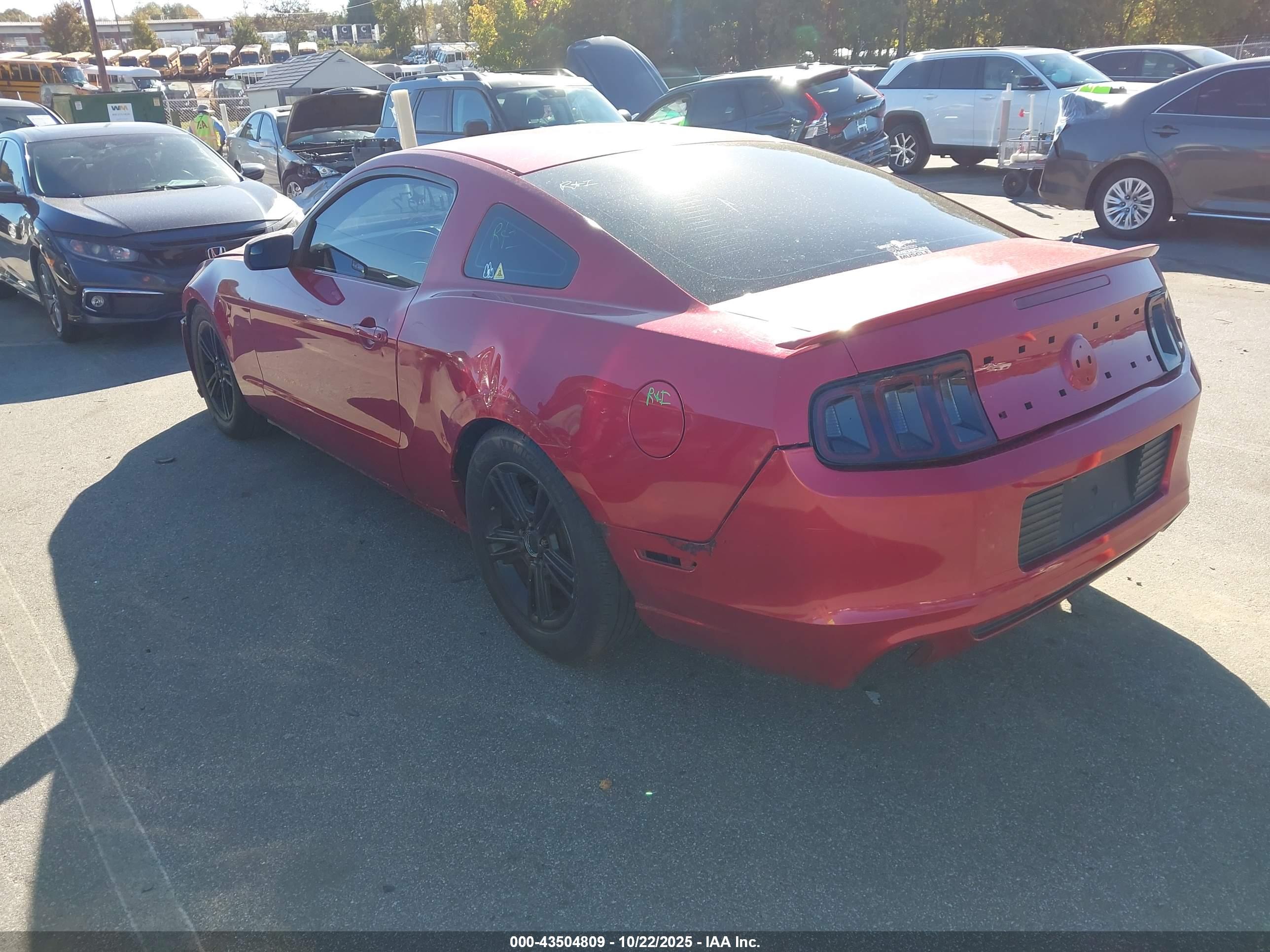 FORD MUSTANG image 3