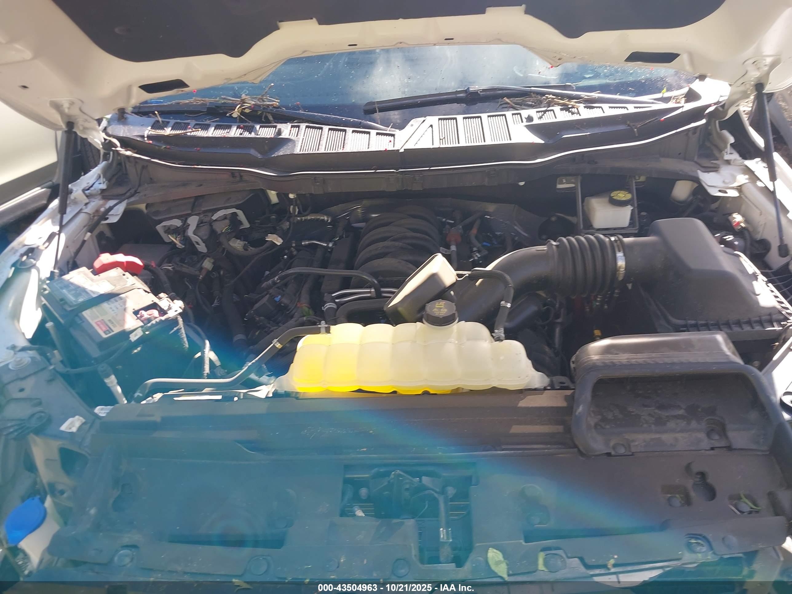 FORD F150 image 10