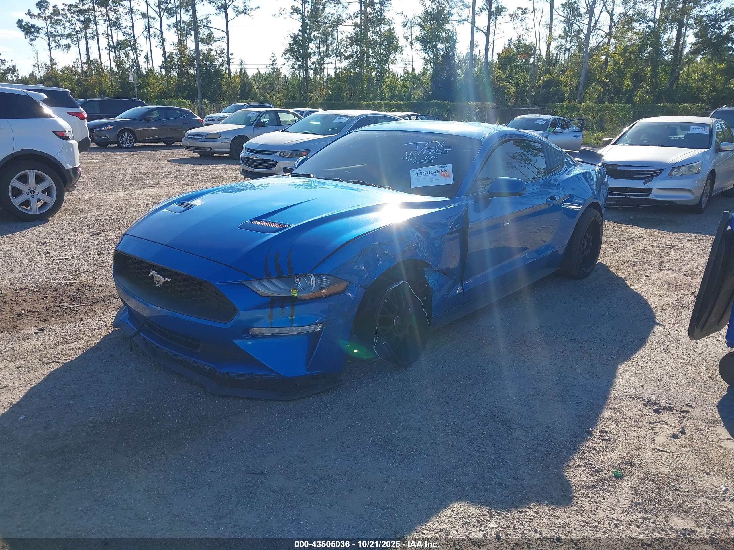 FORD MUSTANG image 2