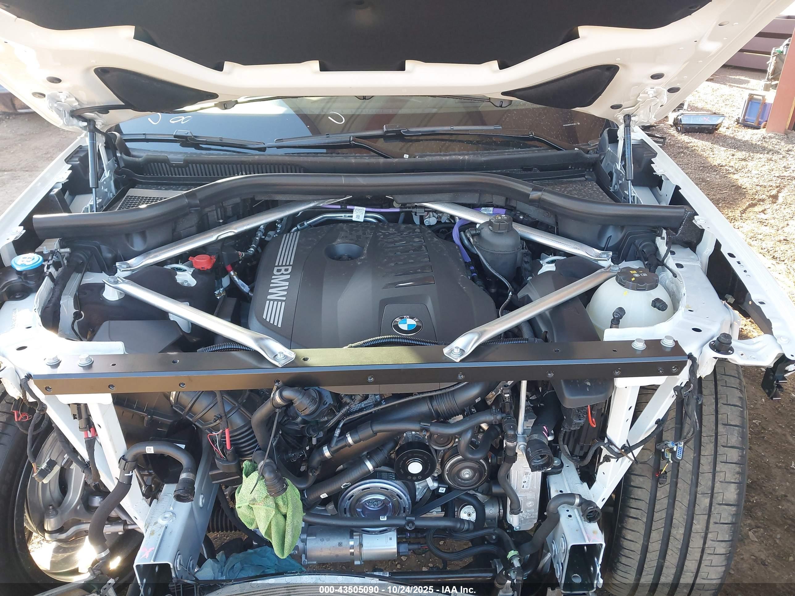BMW X7 image 10