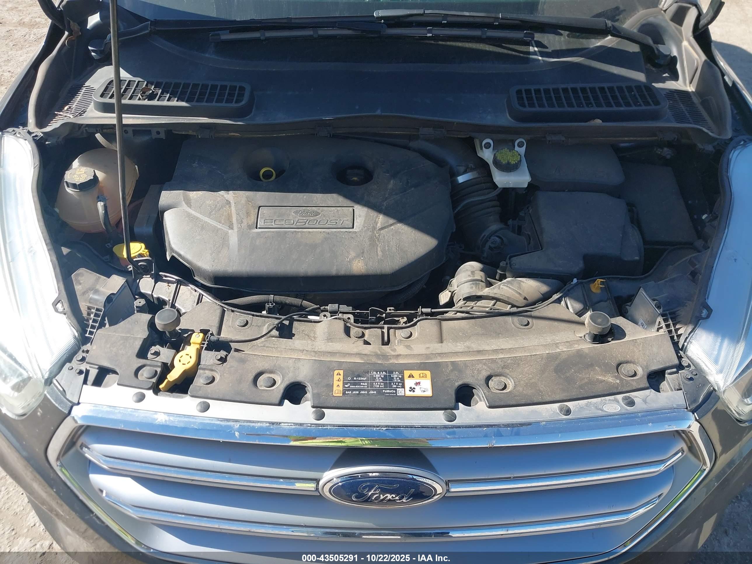FORD ESCAPE image 10