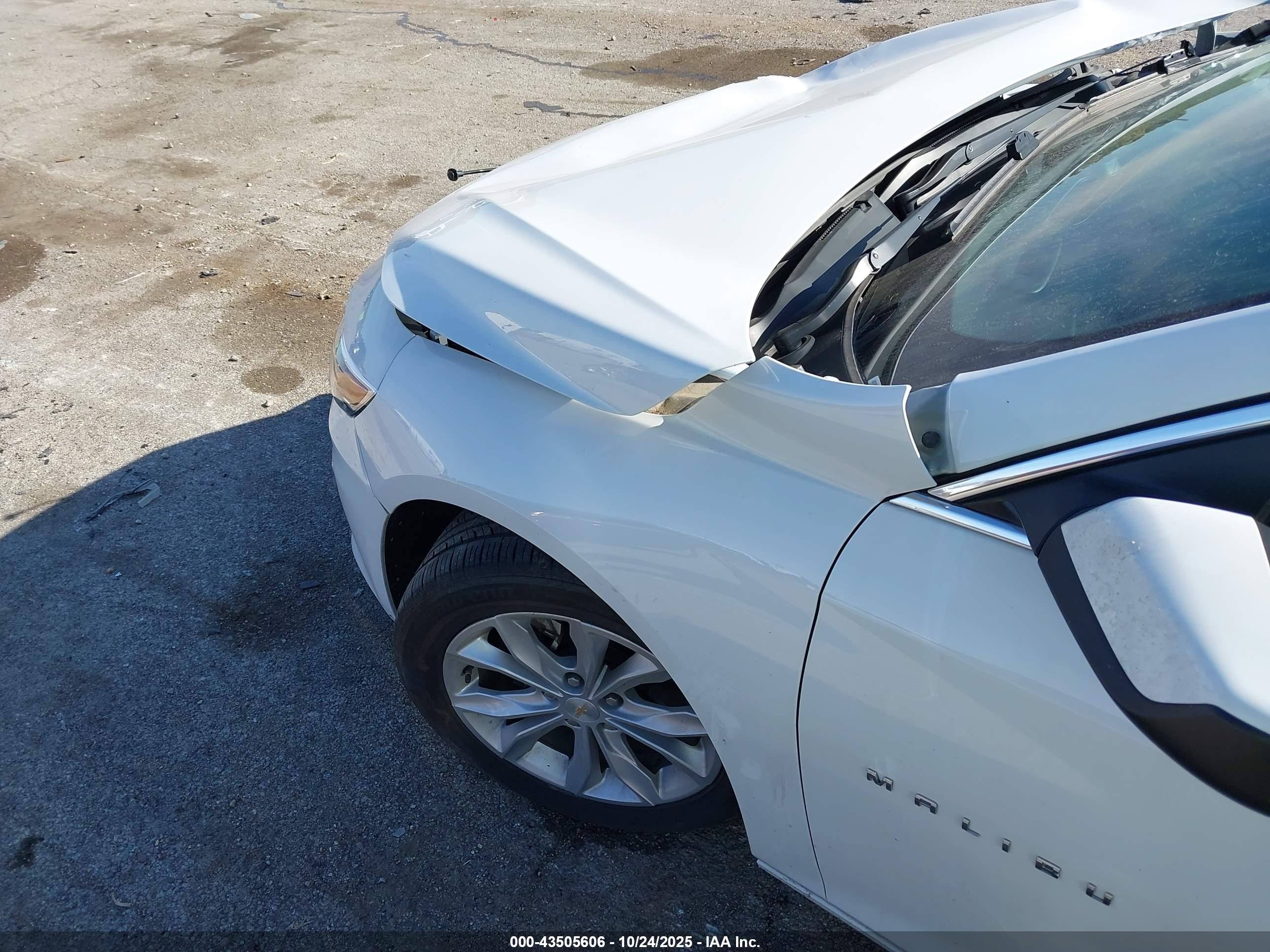 CHEVROLET MALIBU image 6