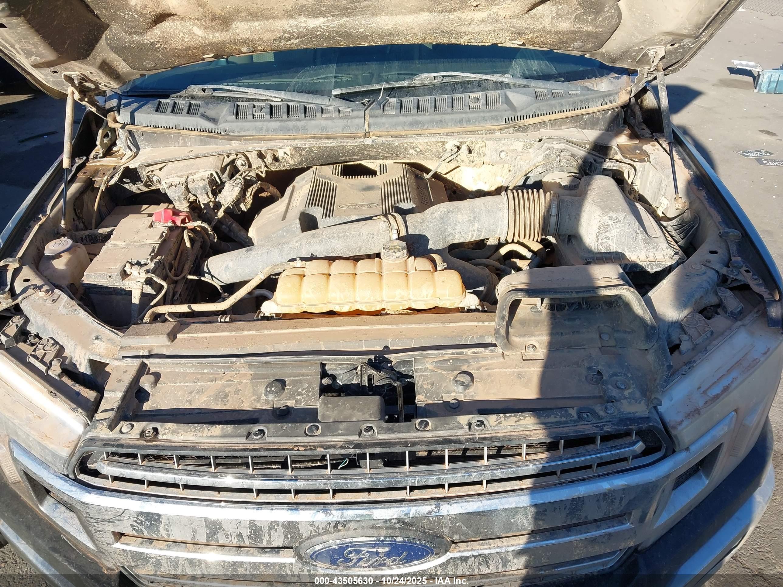 FORD F-150 image 10