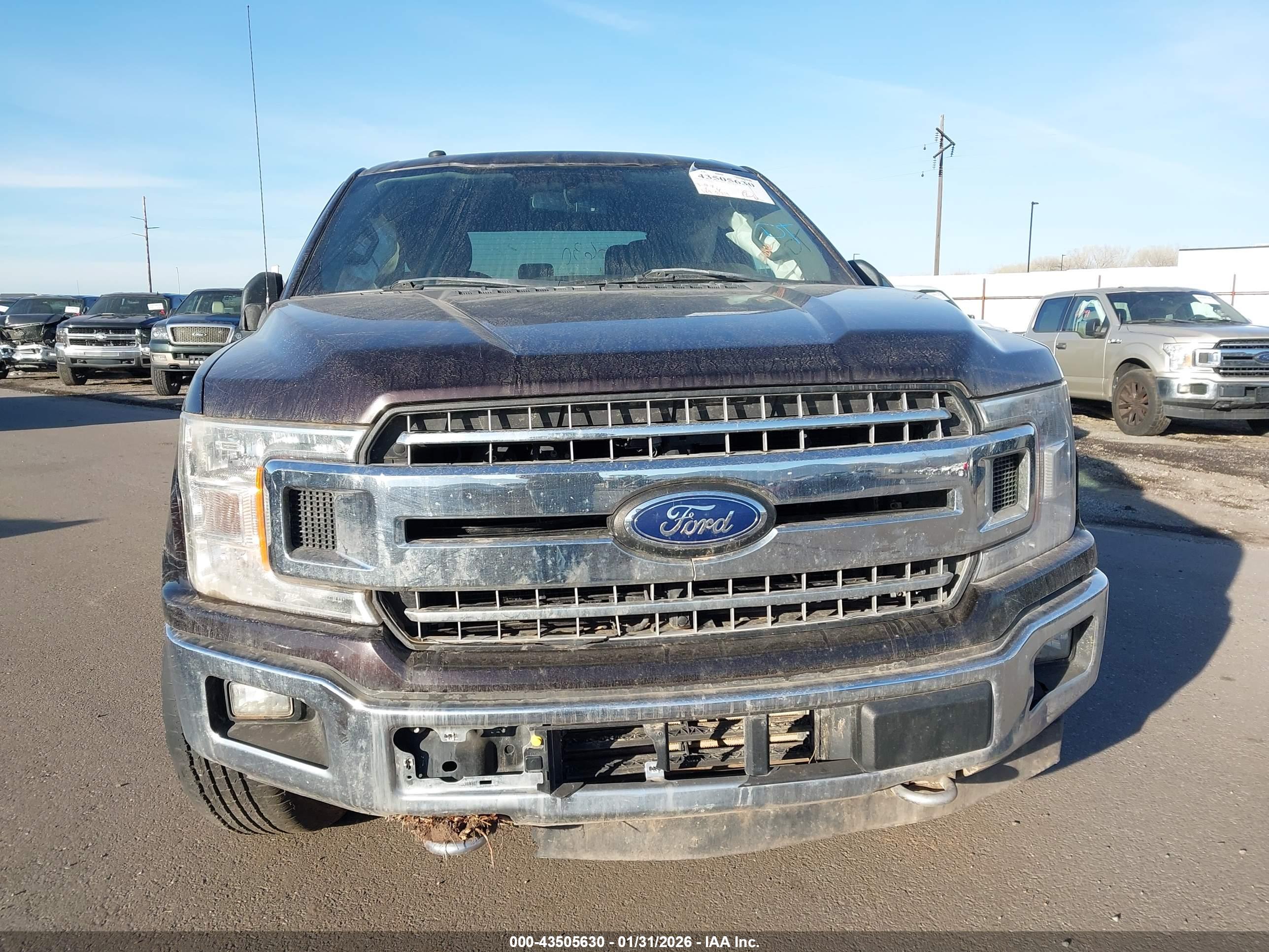 FORD F-150 image 6