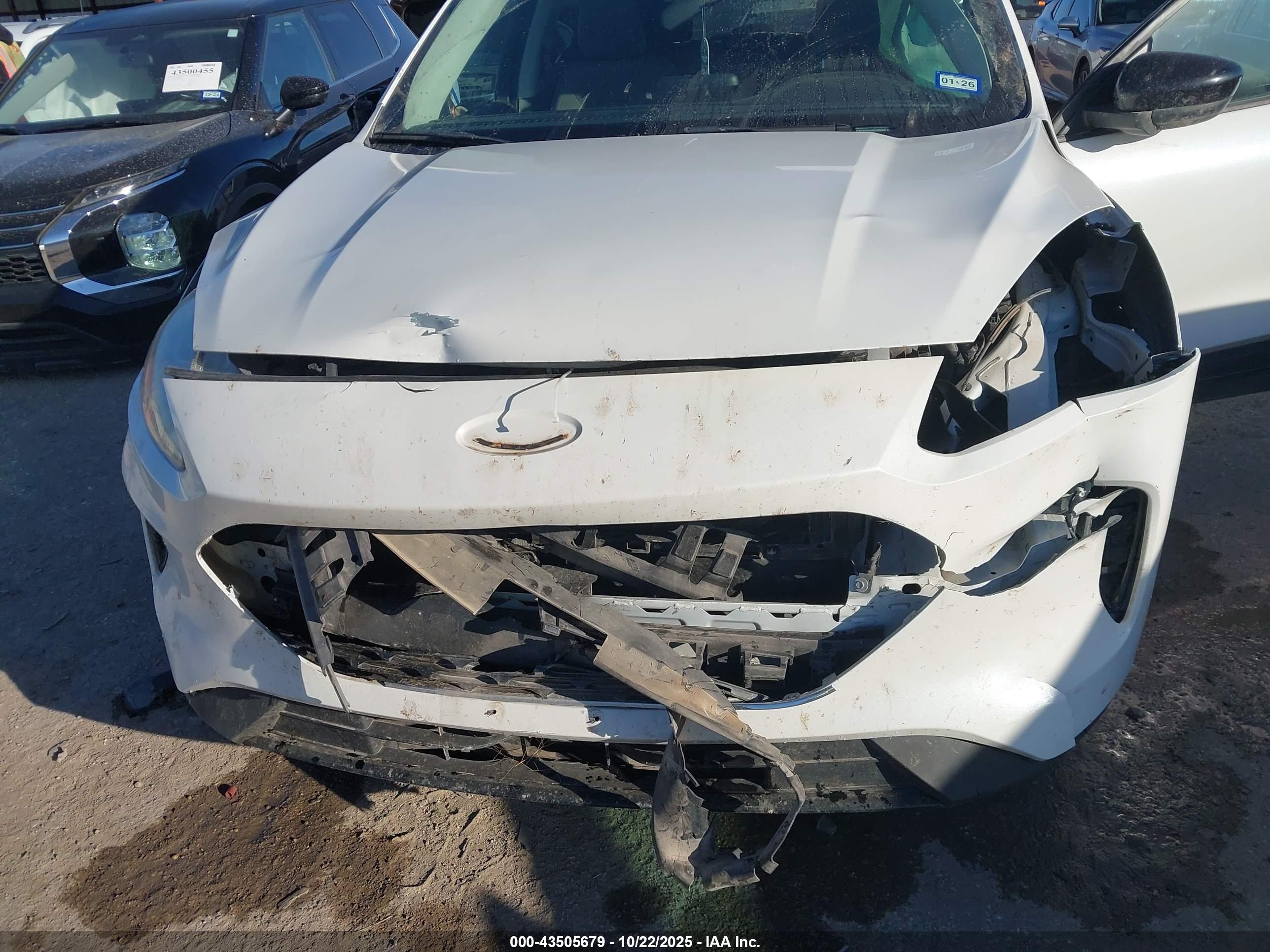 FORD ESCAPE image 6
